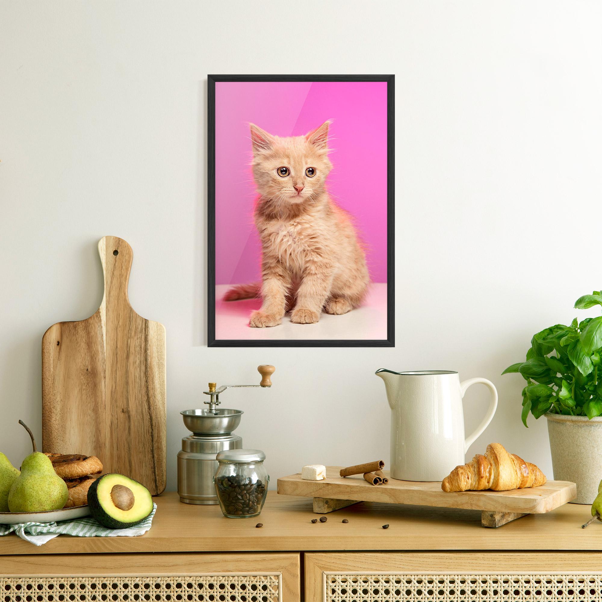 Poster Înrămat Orange Cat On Pink mockup 8
