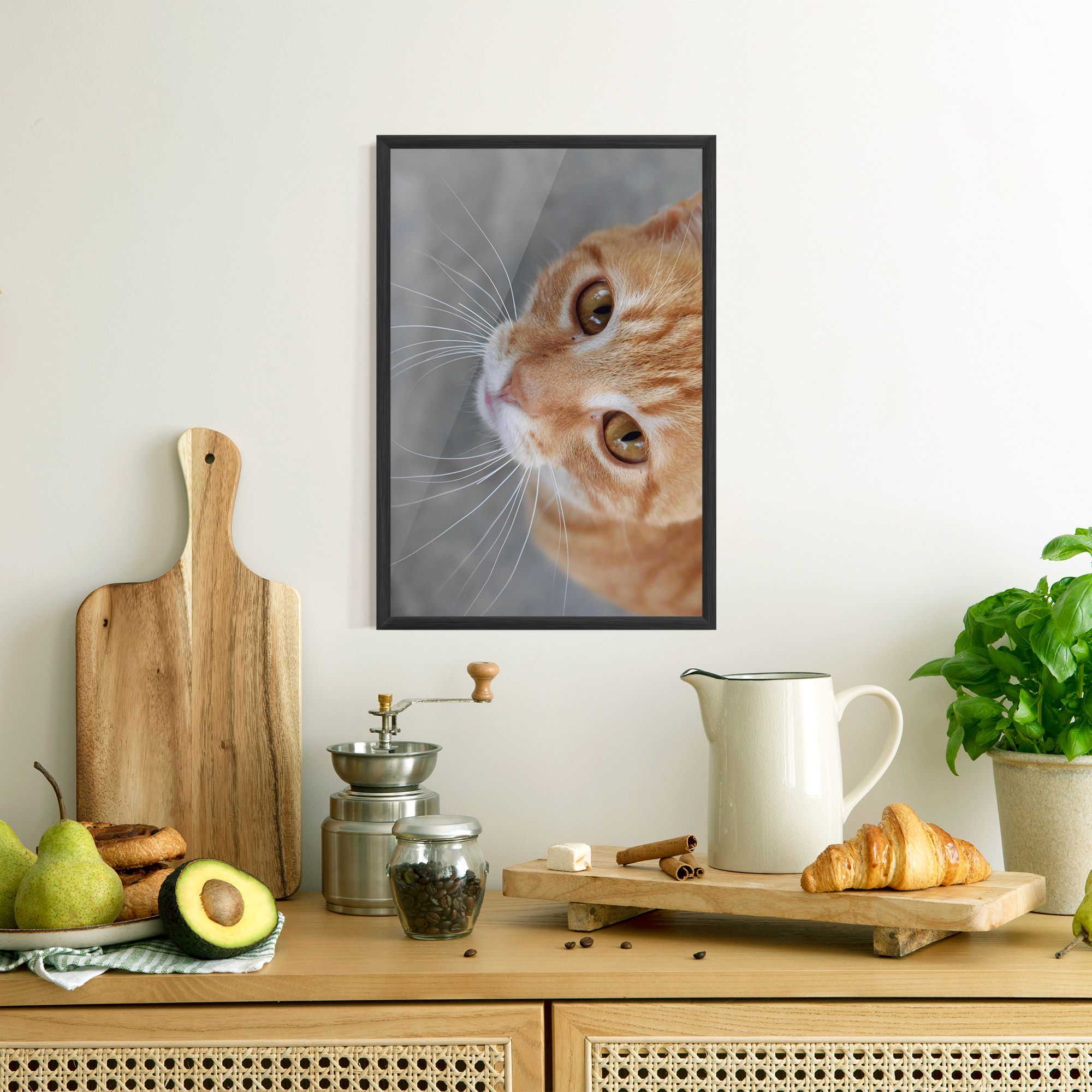 Pretty Orange Eyes Cat mockup 8