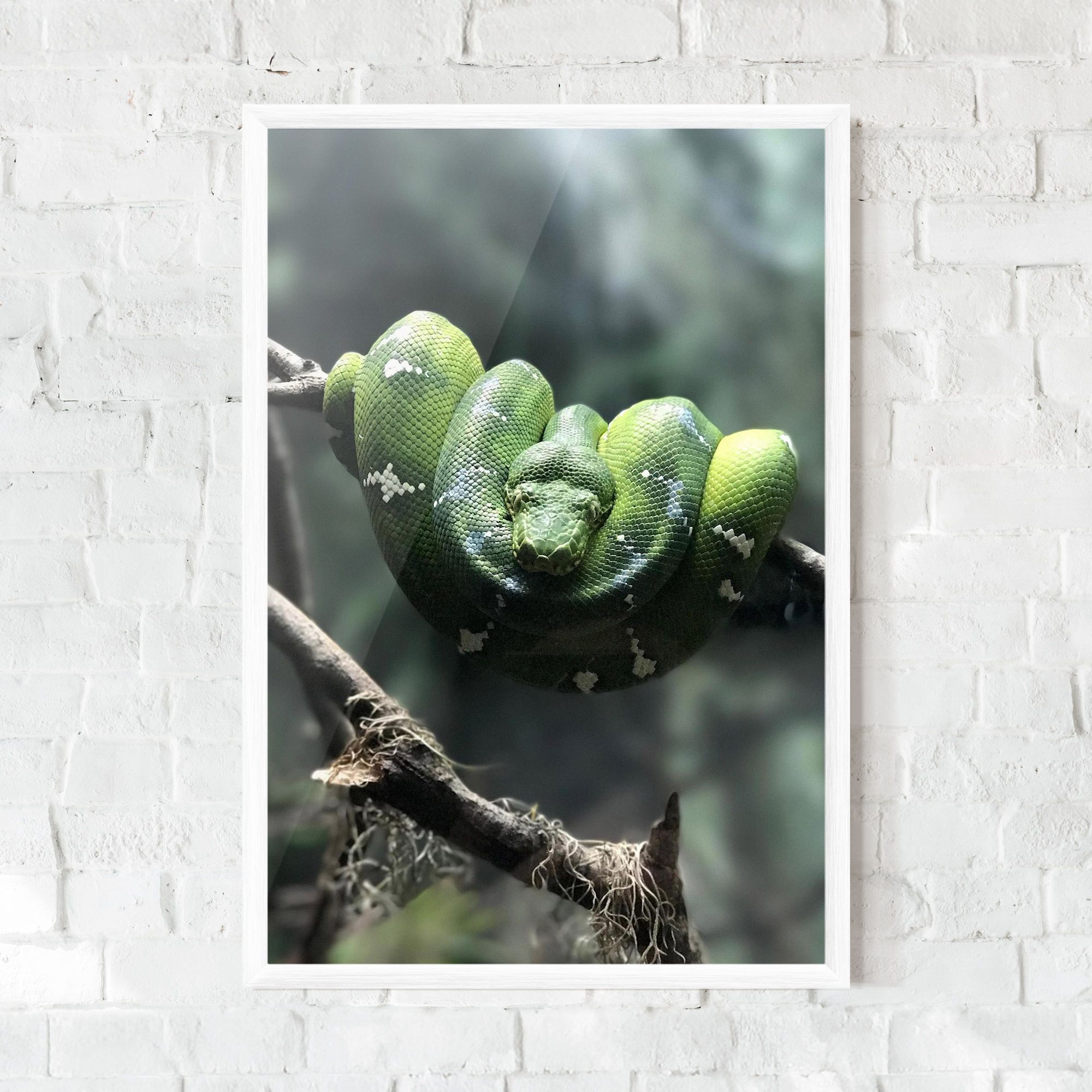 Sleepy Snake mockup 0