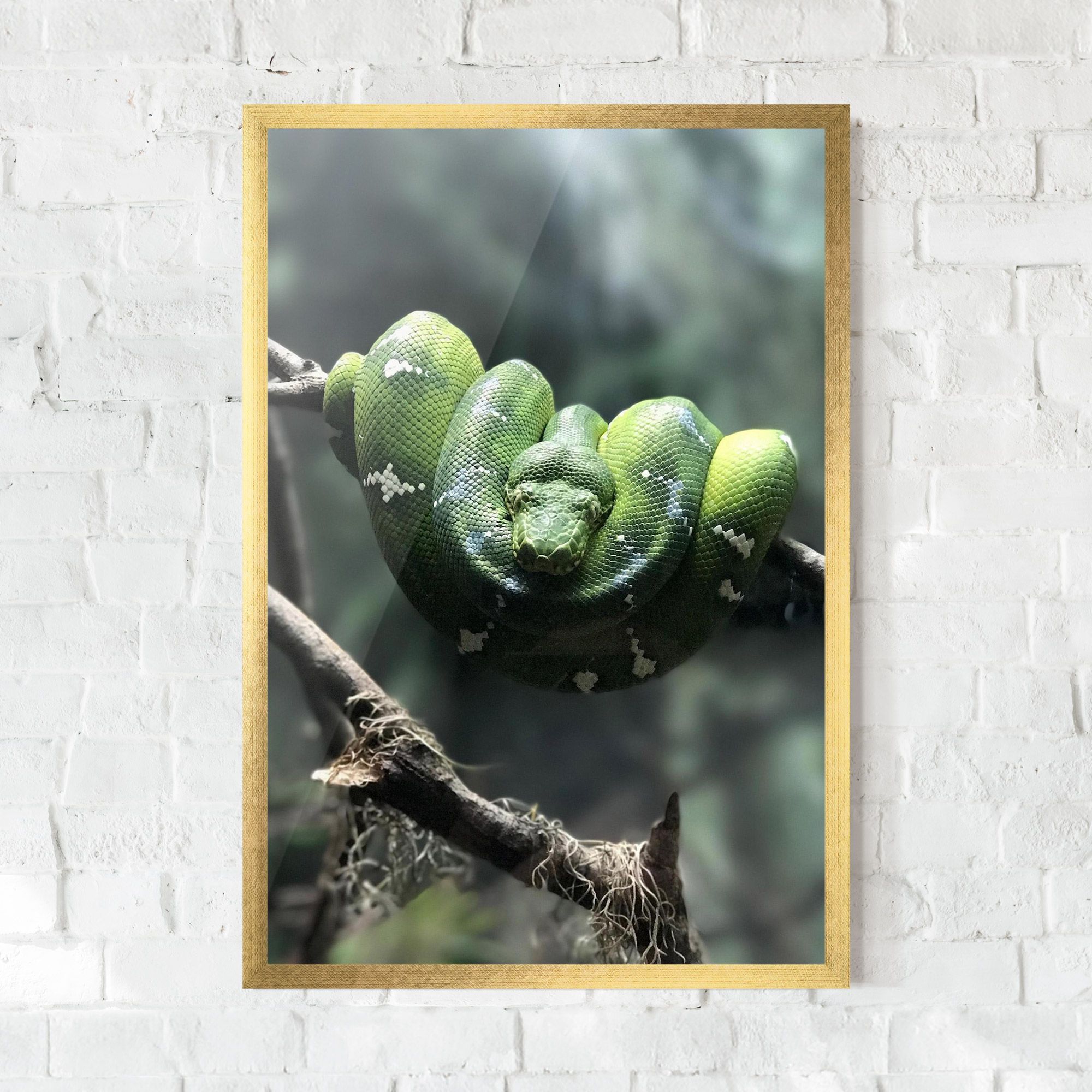 Sleepy Snake mockup 0