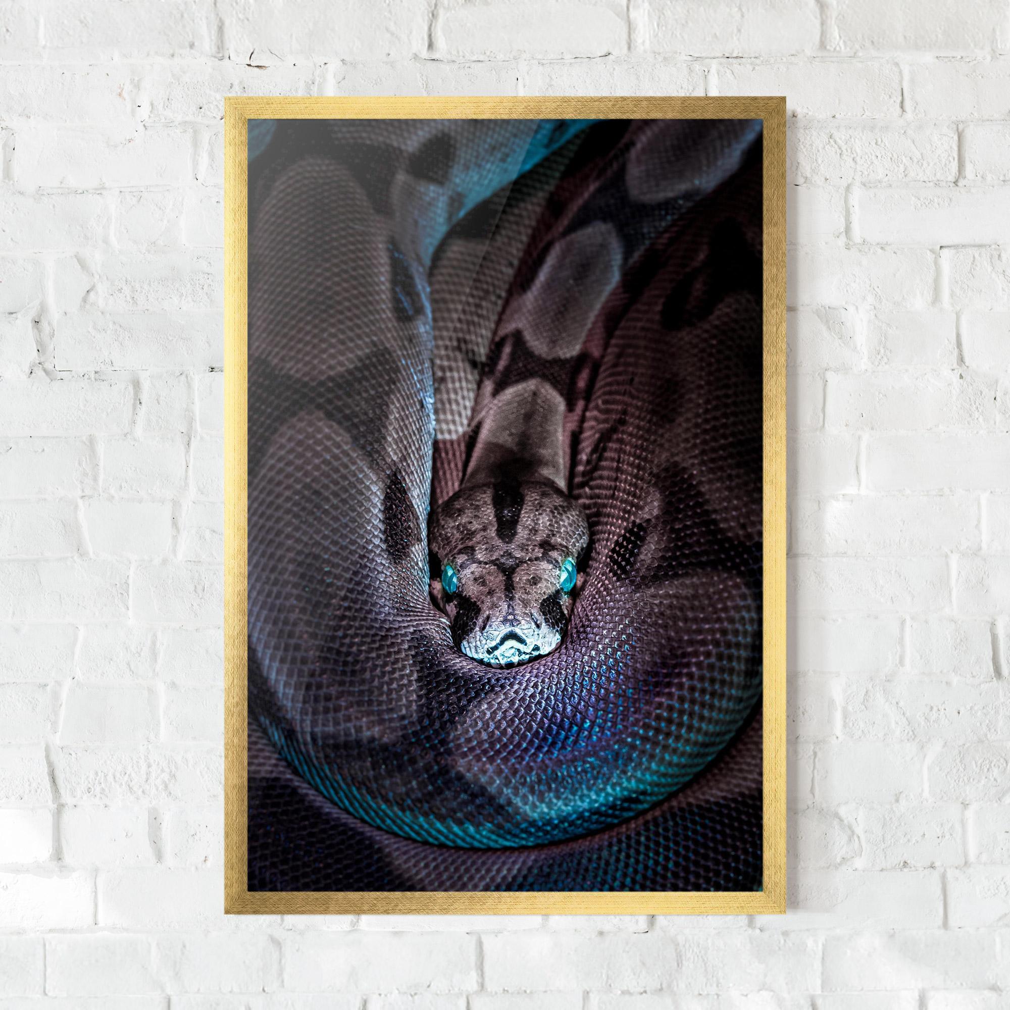 Poster Înrămat Vibrant Snake mockup 0