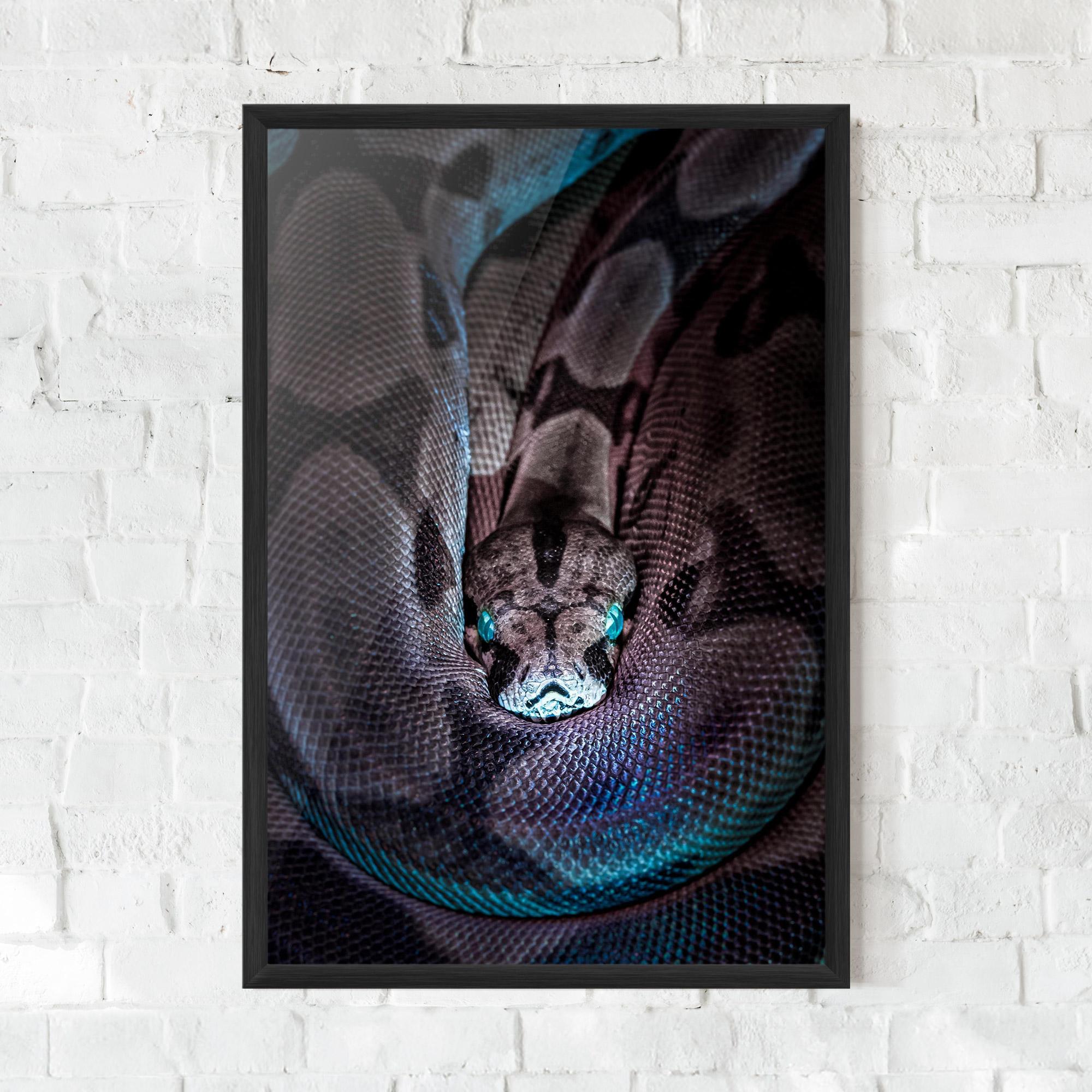 Poster Înrămat Vibrant Snake mockup 0