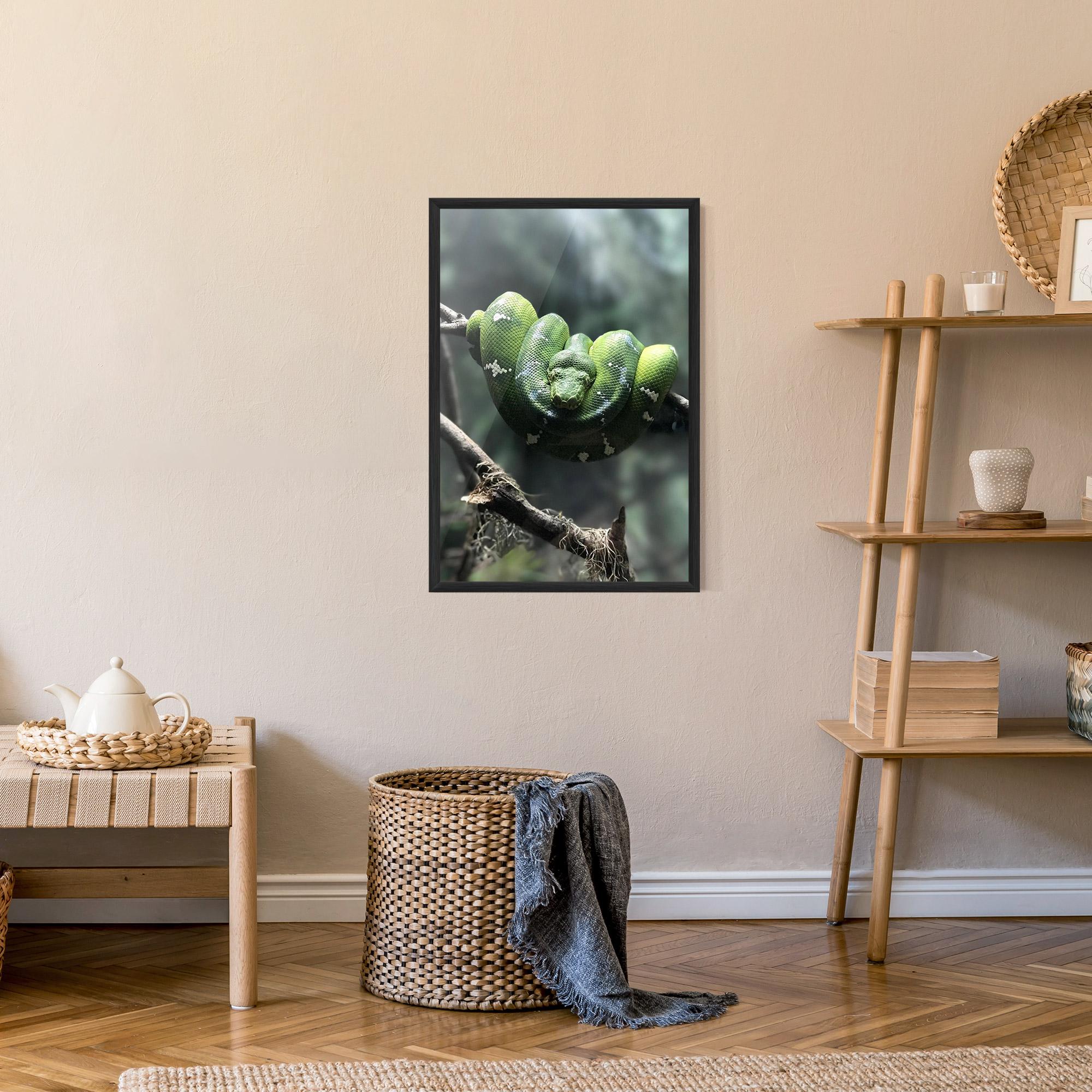 Poster Înrămat Sleepy Snake mockup 9