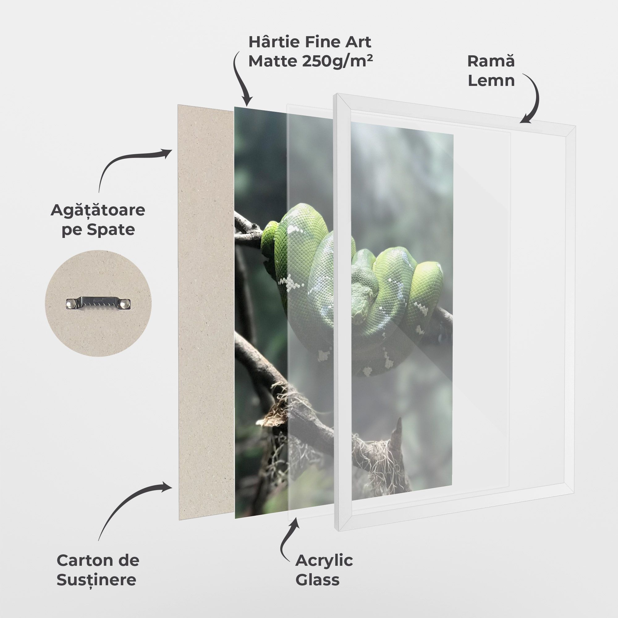 Sleepy Snake mockup 1