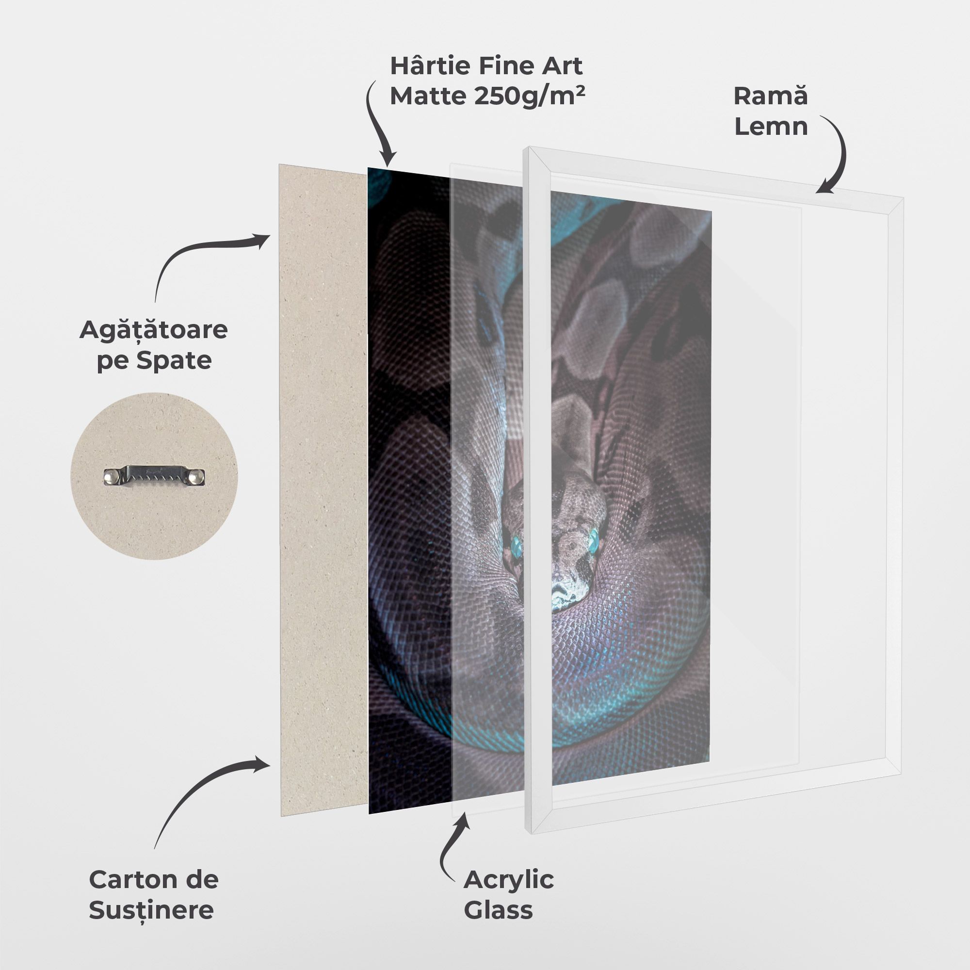 Vibrant Snake mockup 1