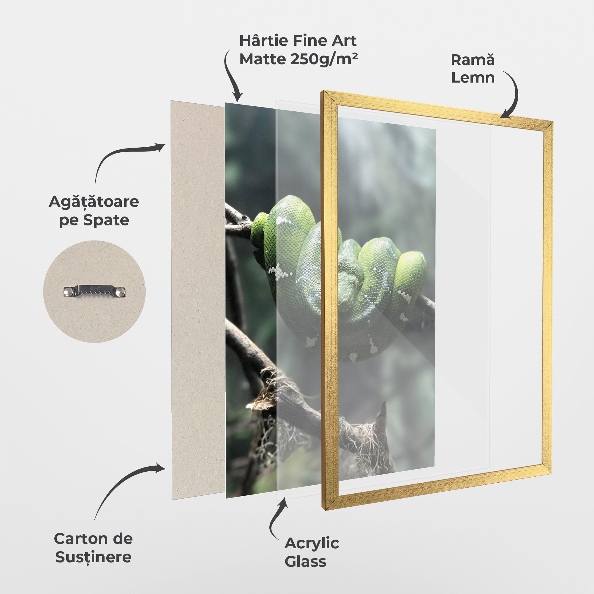 Sleepy Snake mockup 1