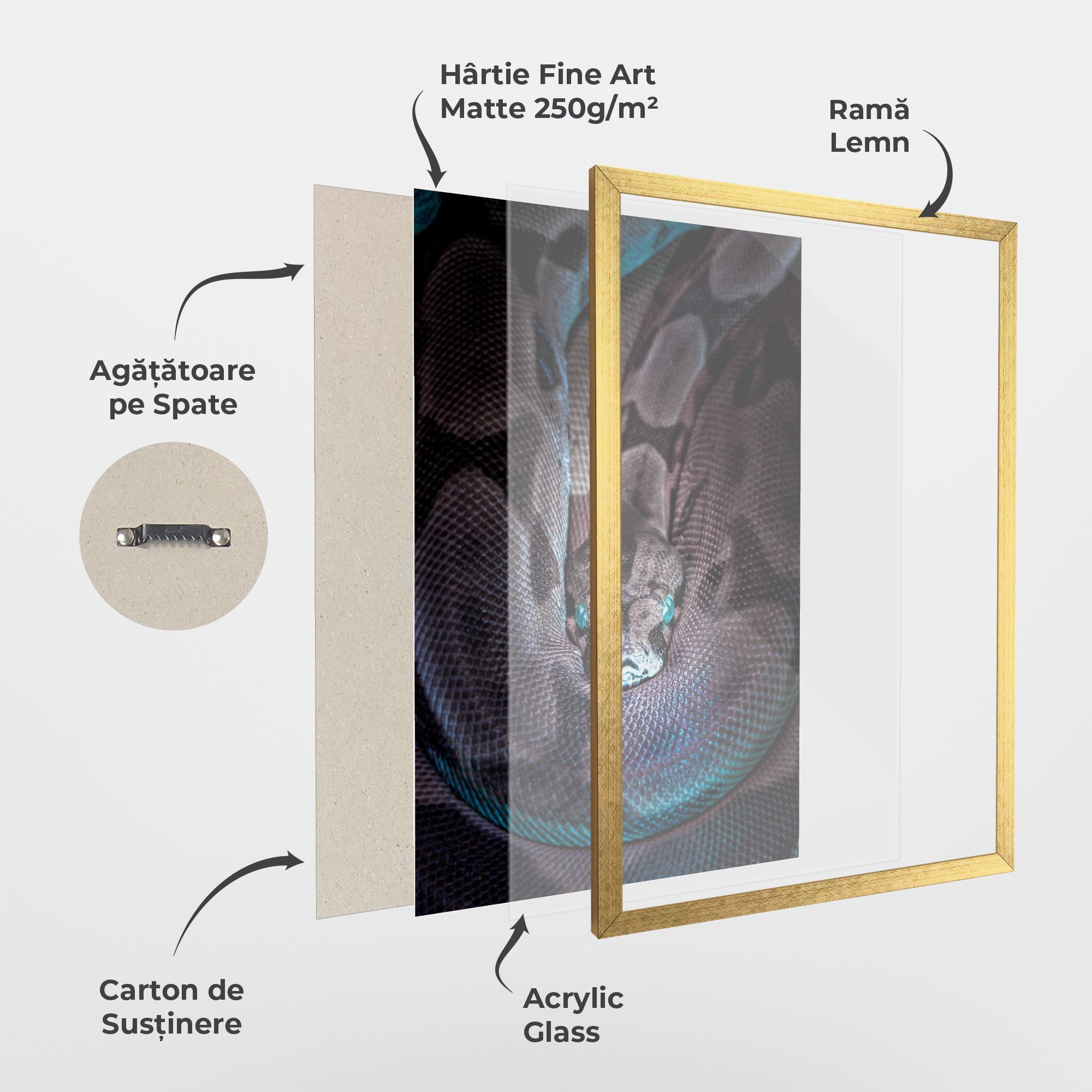 Vibrant Snake mockup 1