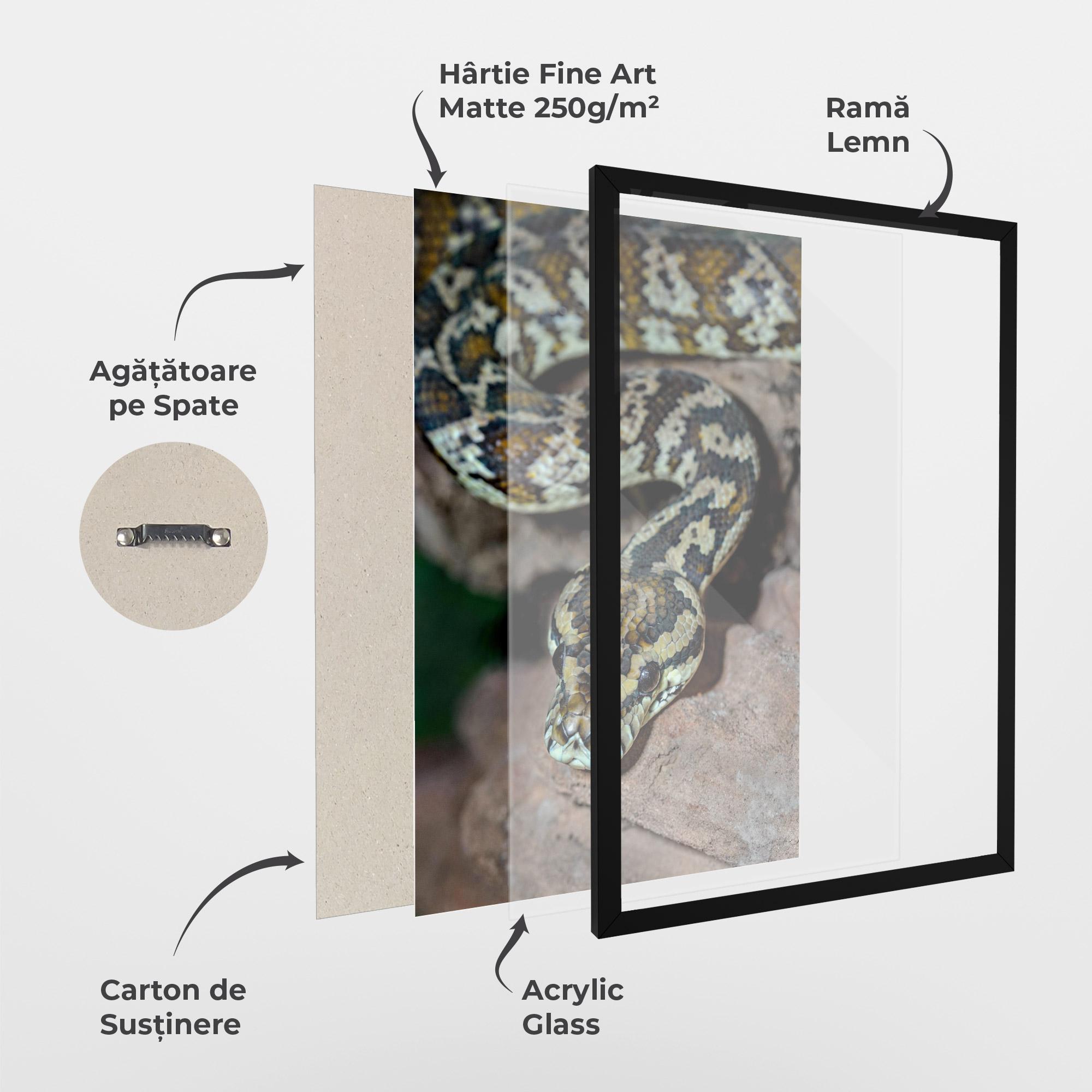 Poster Înrămat King Snake mockup 1