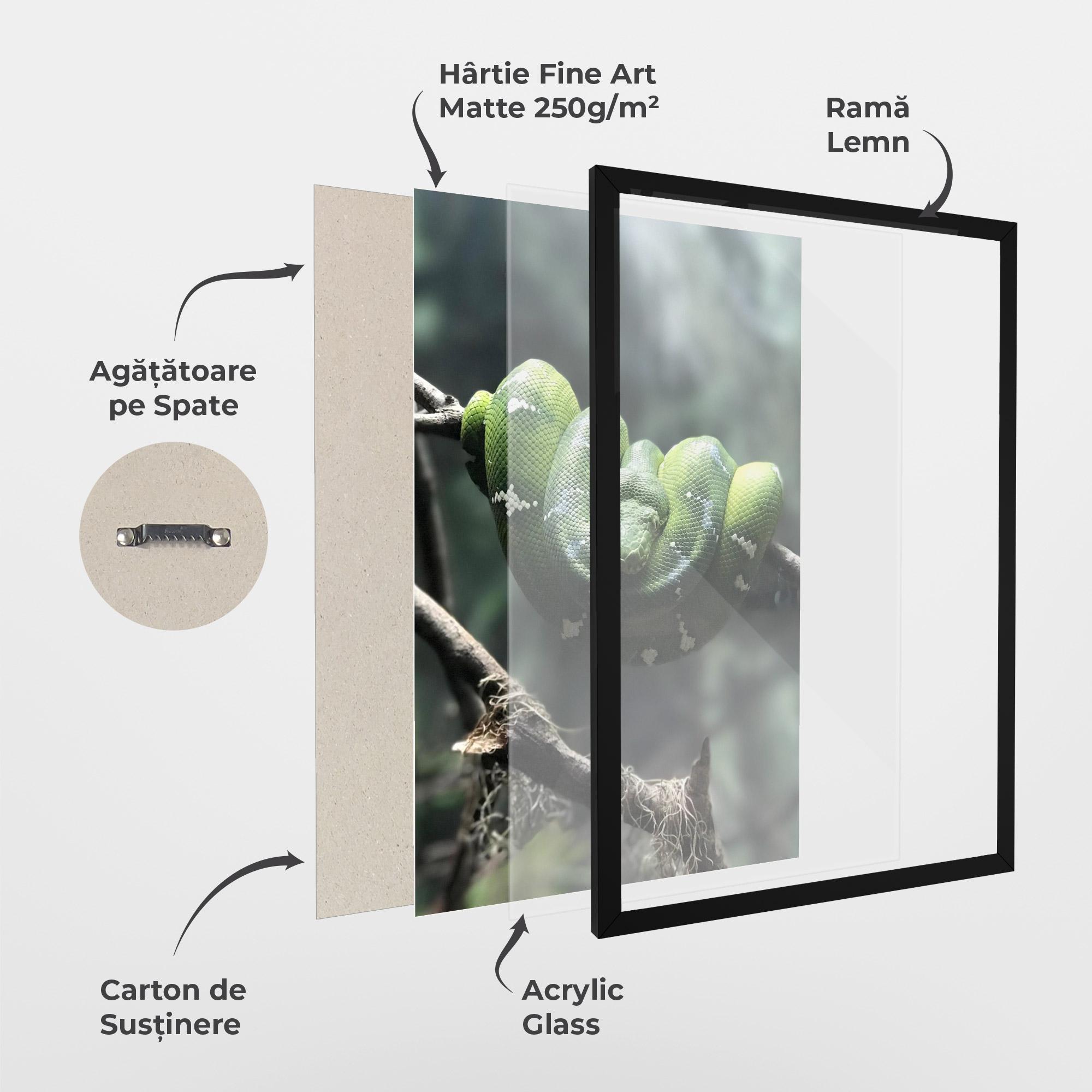 Poster Înrămat Sleepy Snake mockup 1