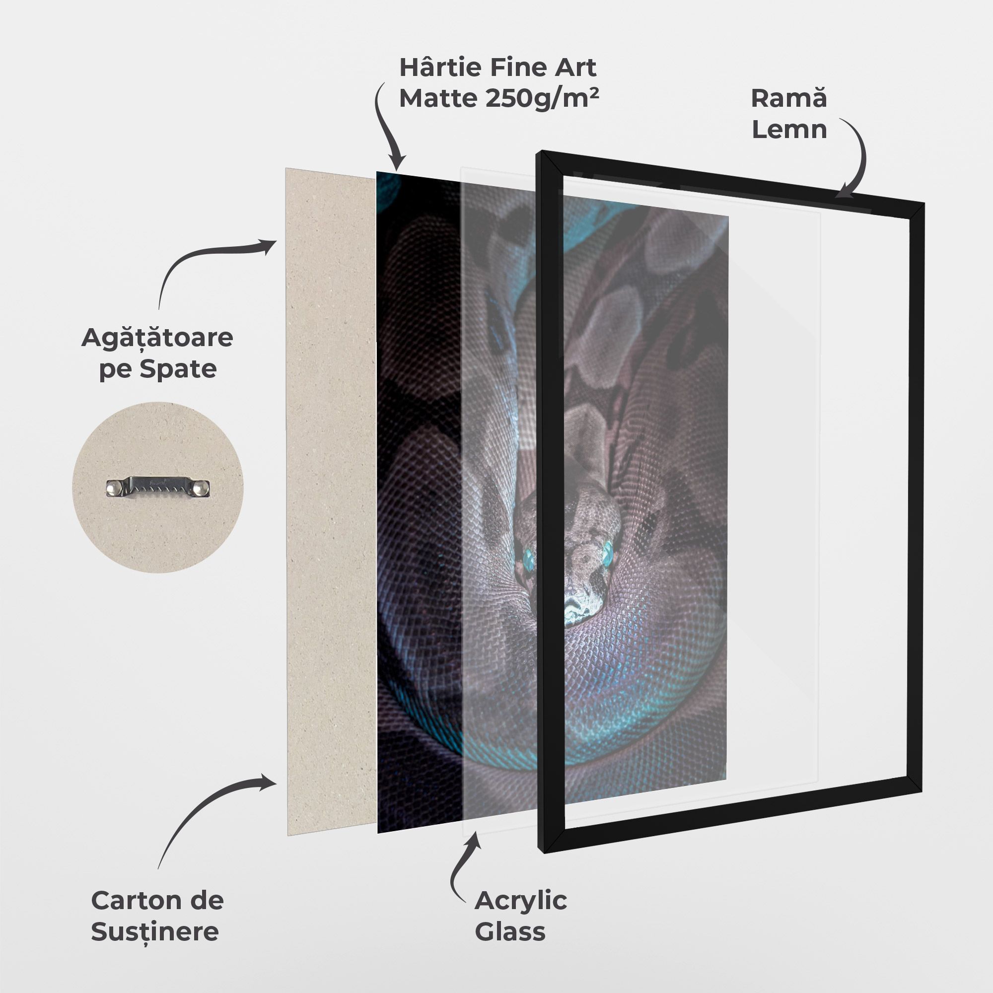 Vibrant Snake mockup 1