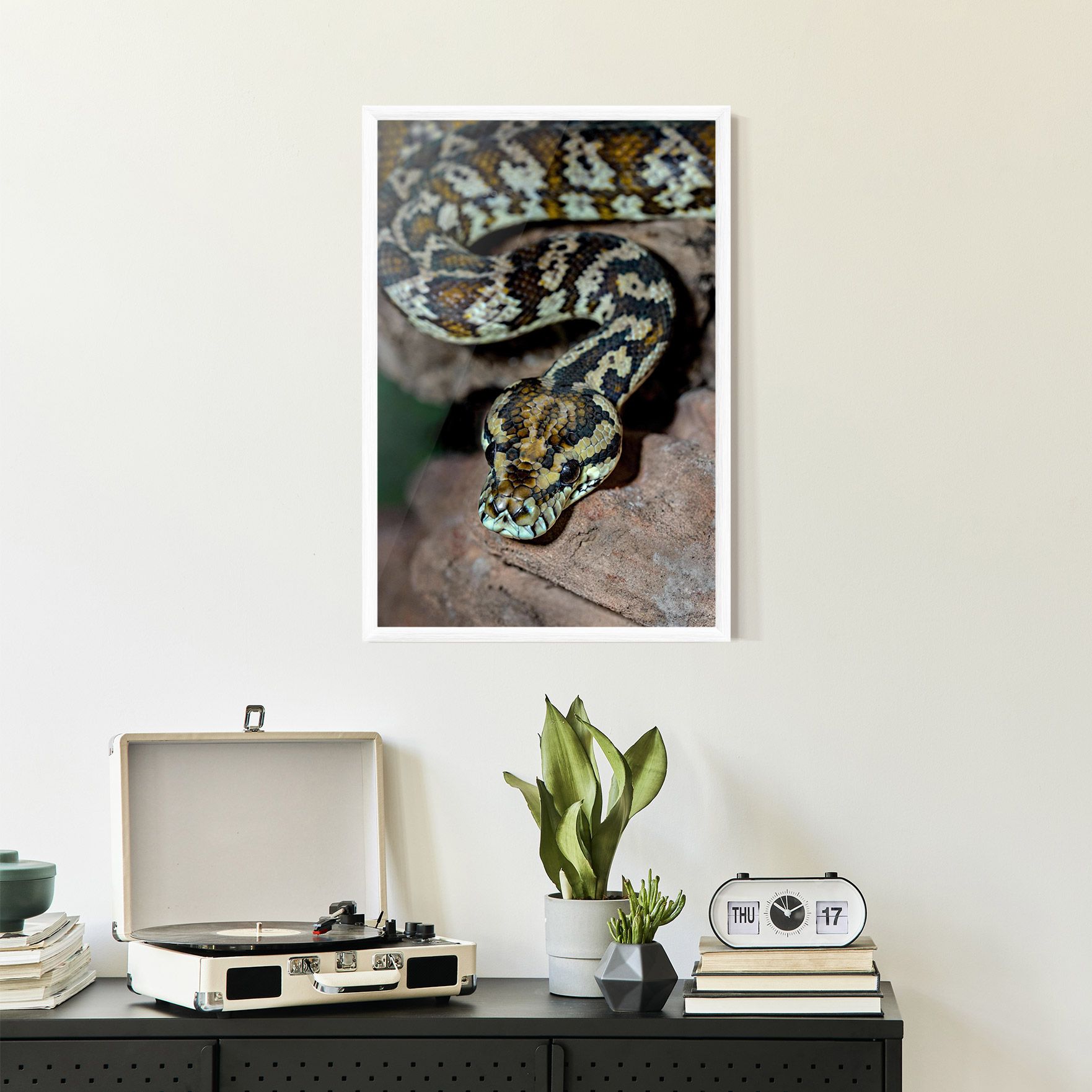 King Snake mockup 2