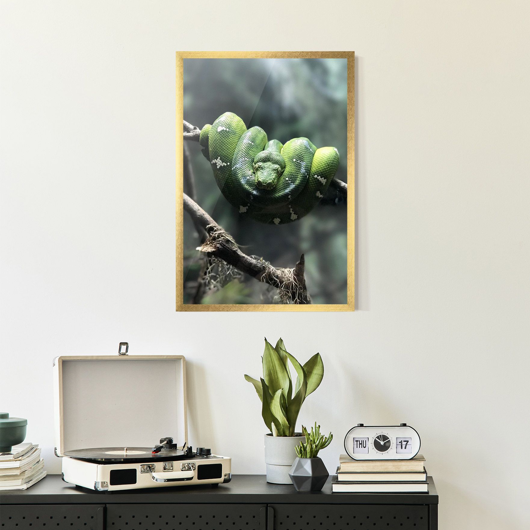 Sleepy Snake mockup 2