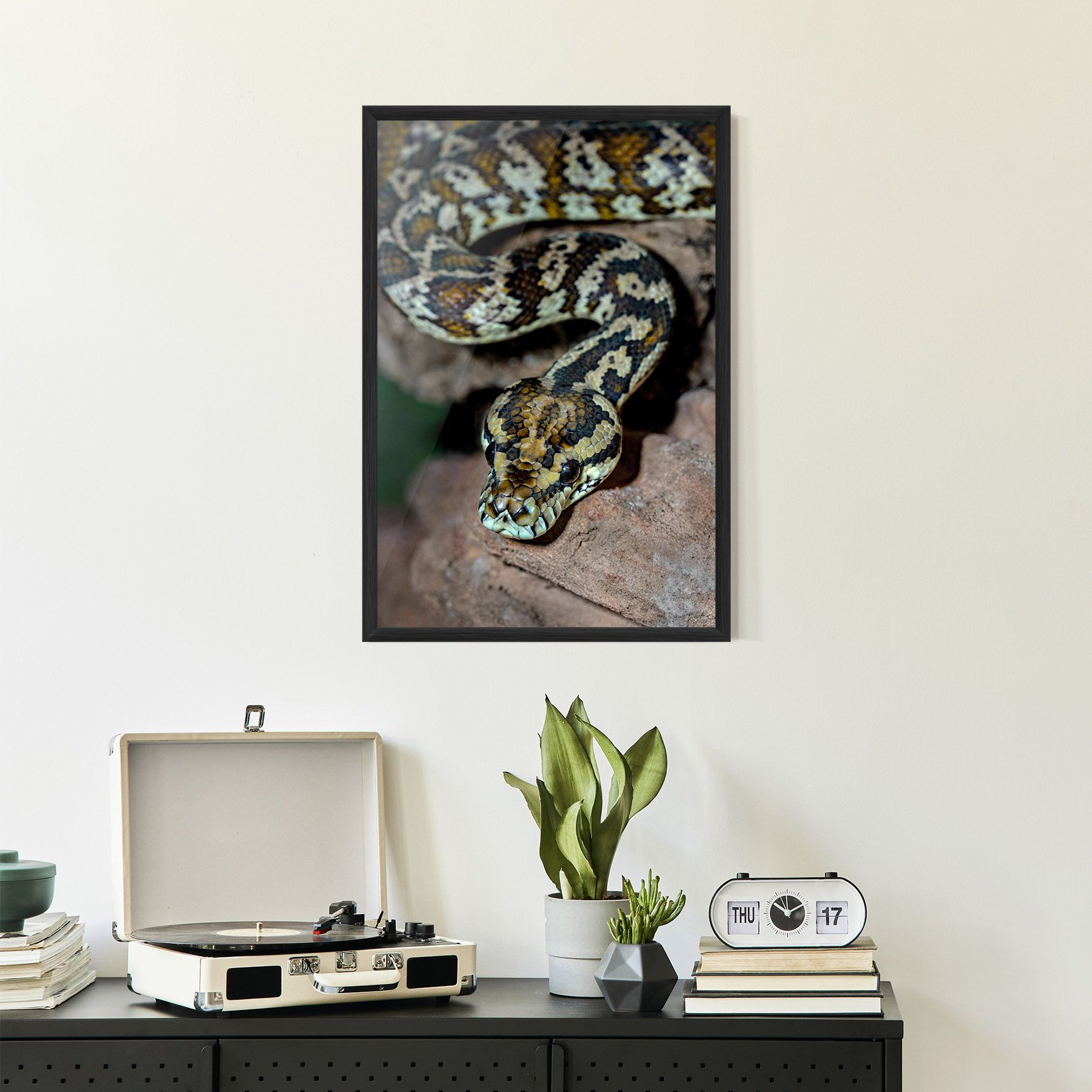 King Snake mockup 2