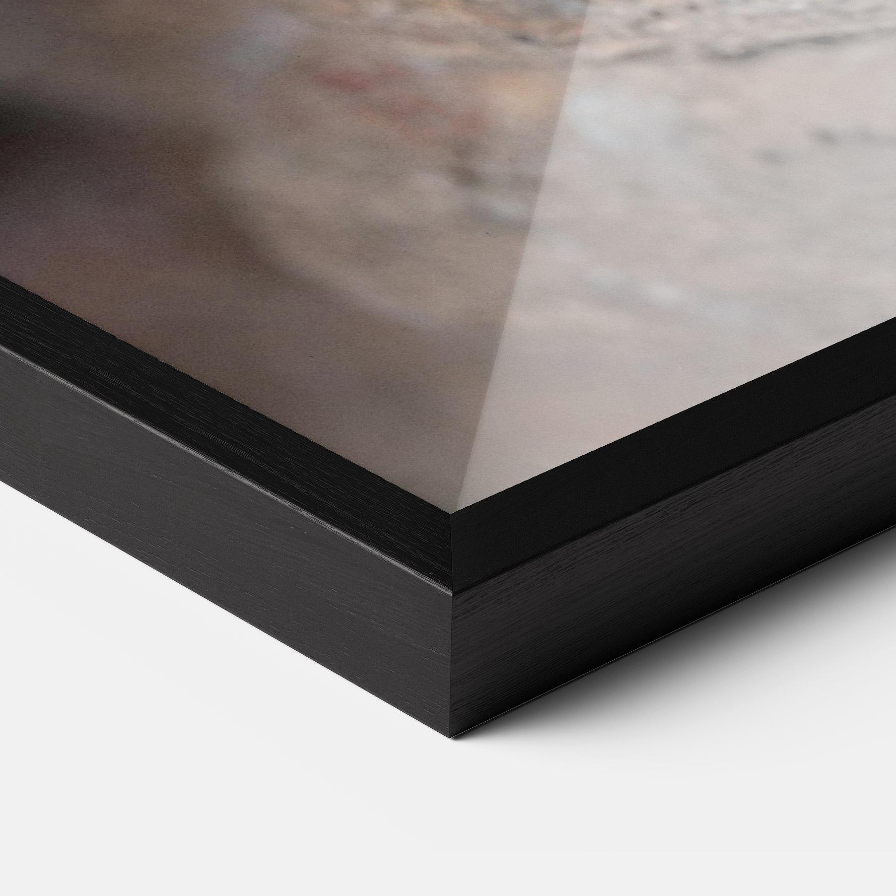 Poster Înrămat King Snake mockup 3