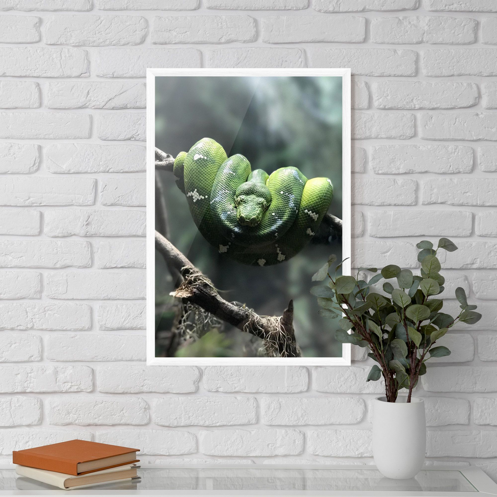 Sleepy Snake mockup 5