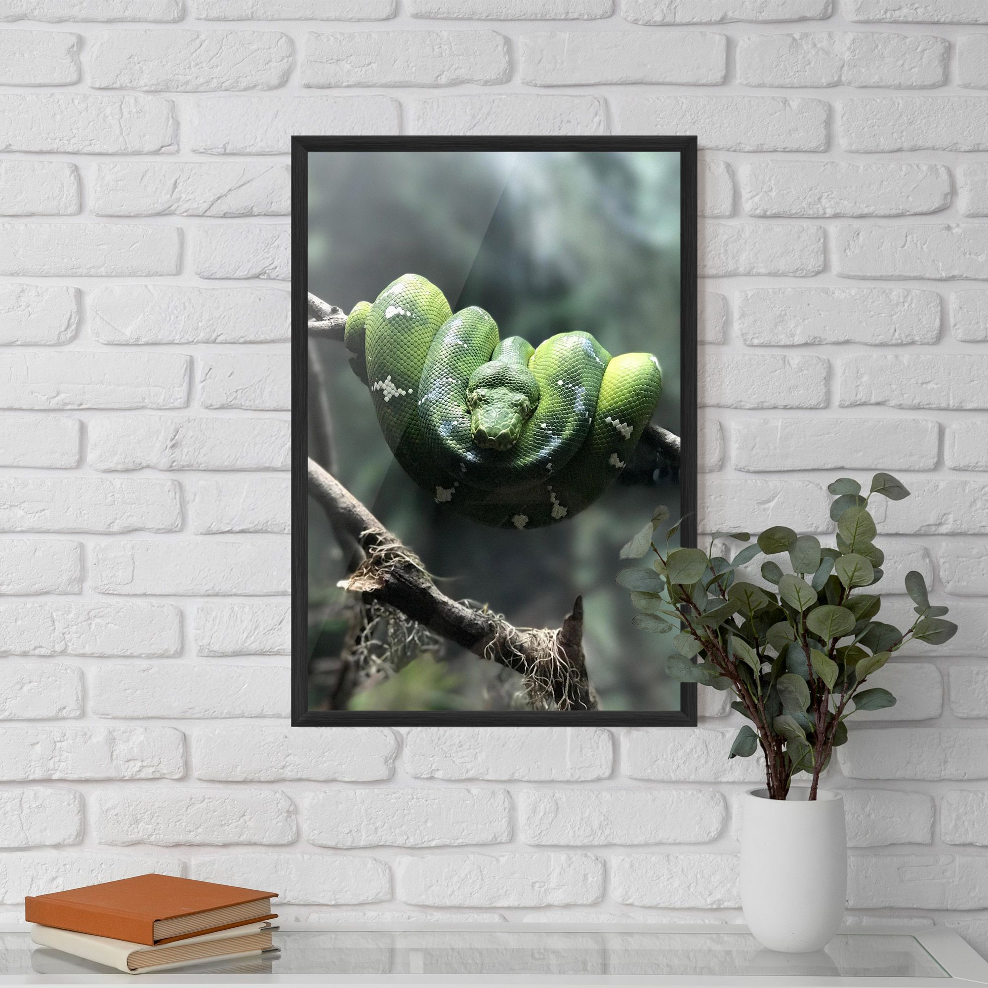 Sleepy Snake mockup 5