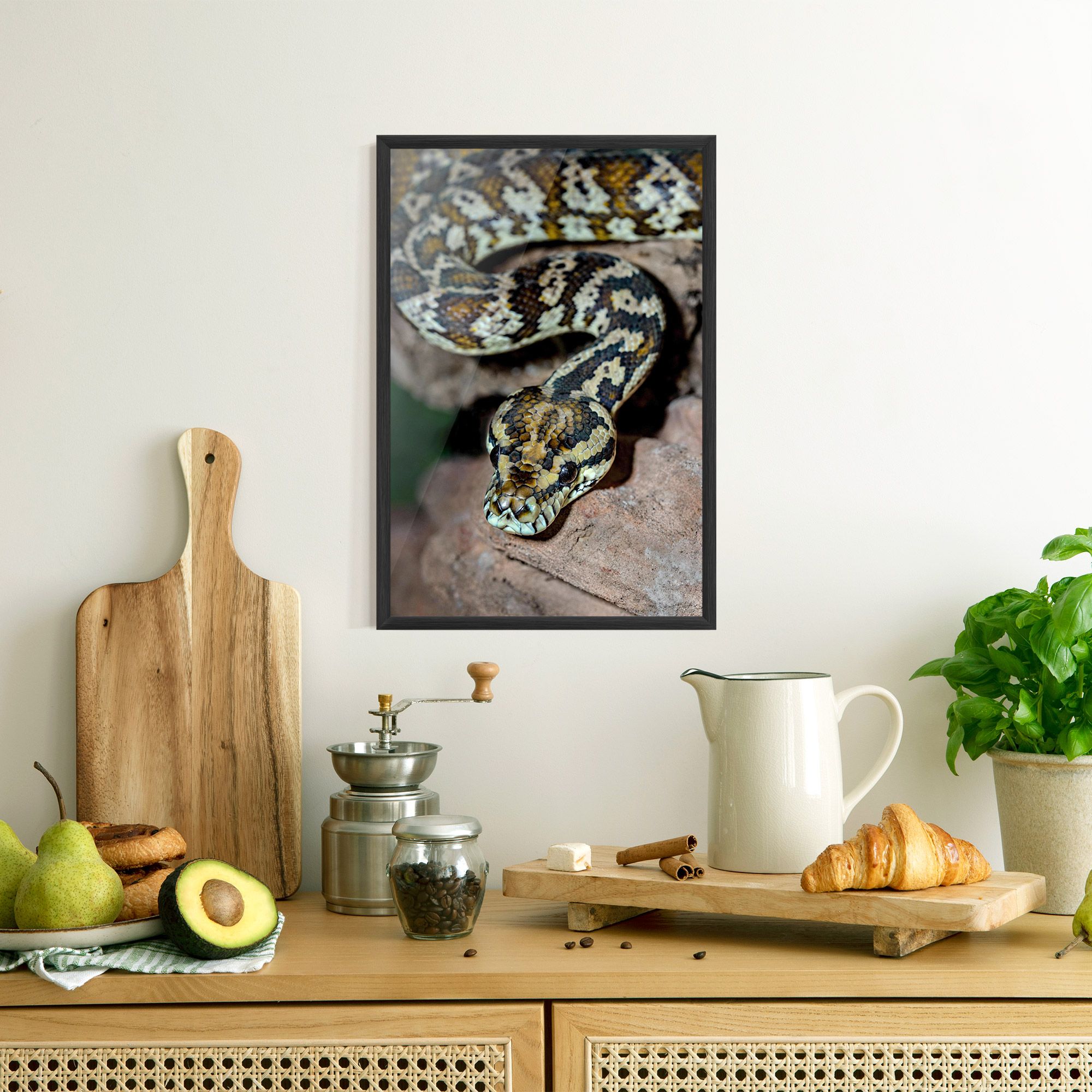 King Snake mockup 8