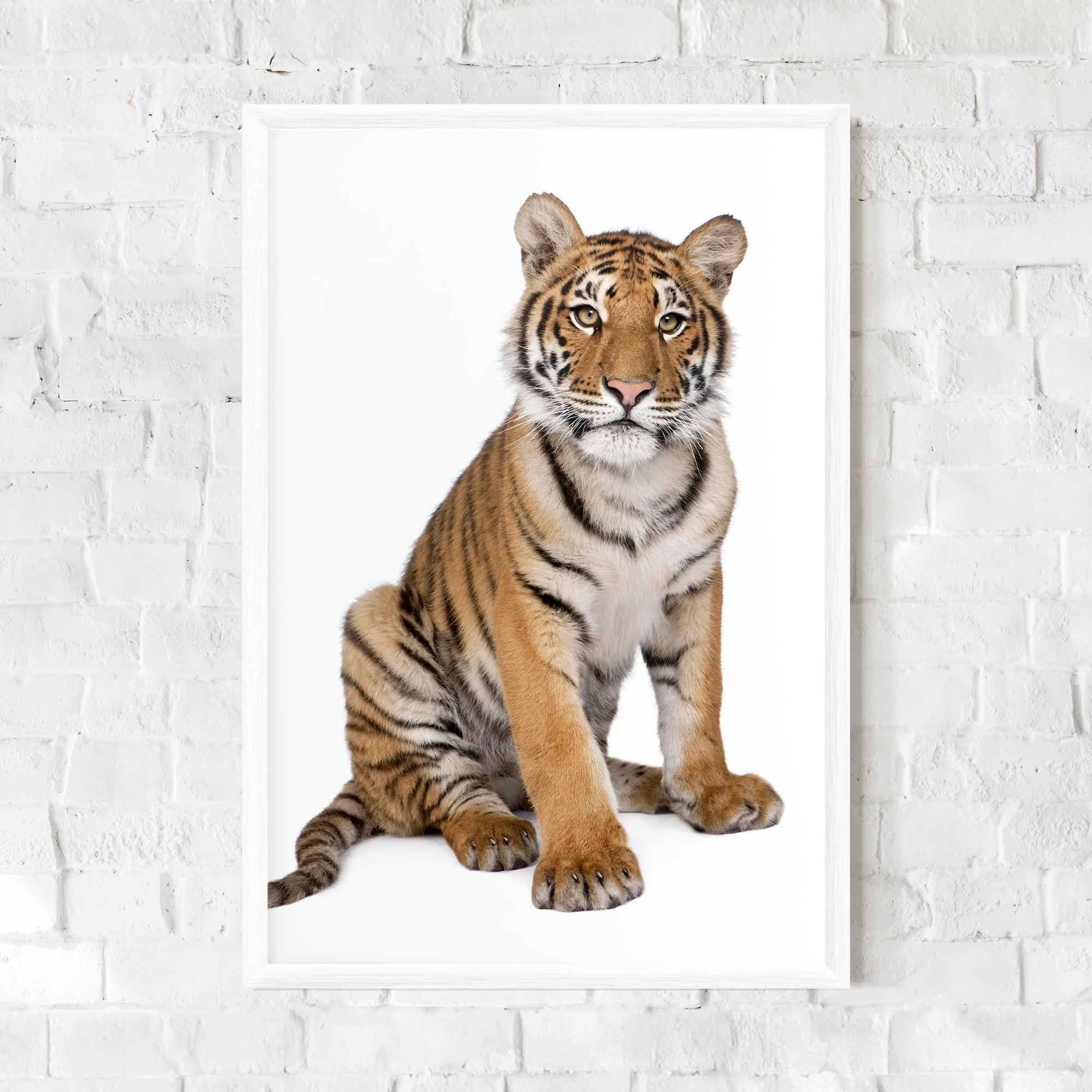 Poster Înrămat Baby Tiger mockup 0