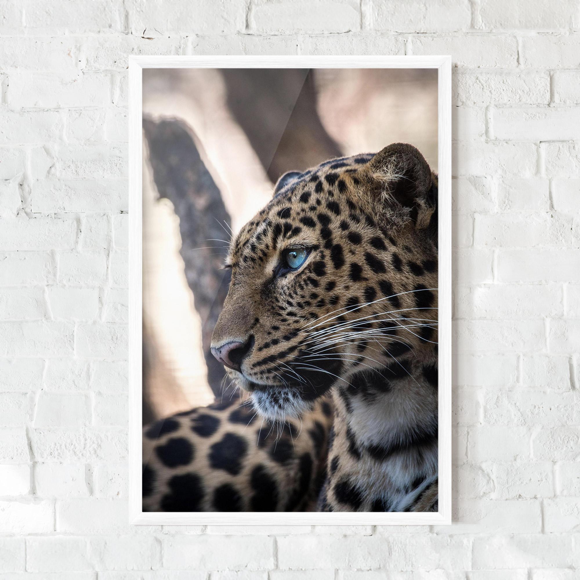 Poster Înrămat Blue Tiger mockup 0