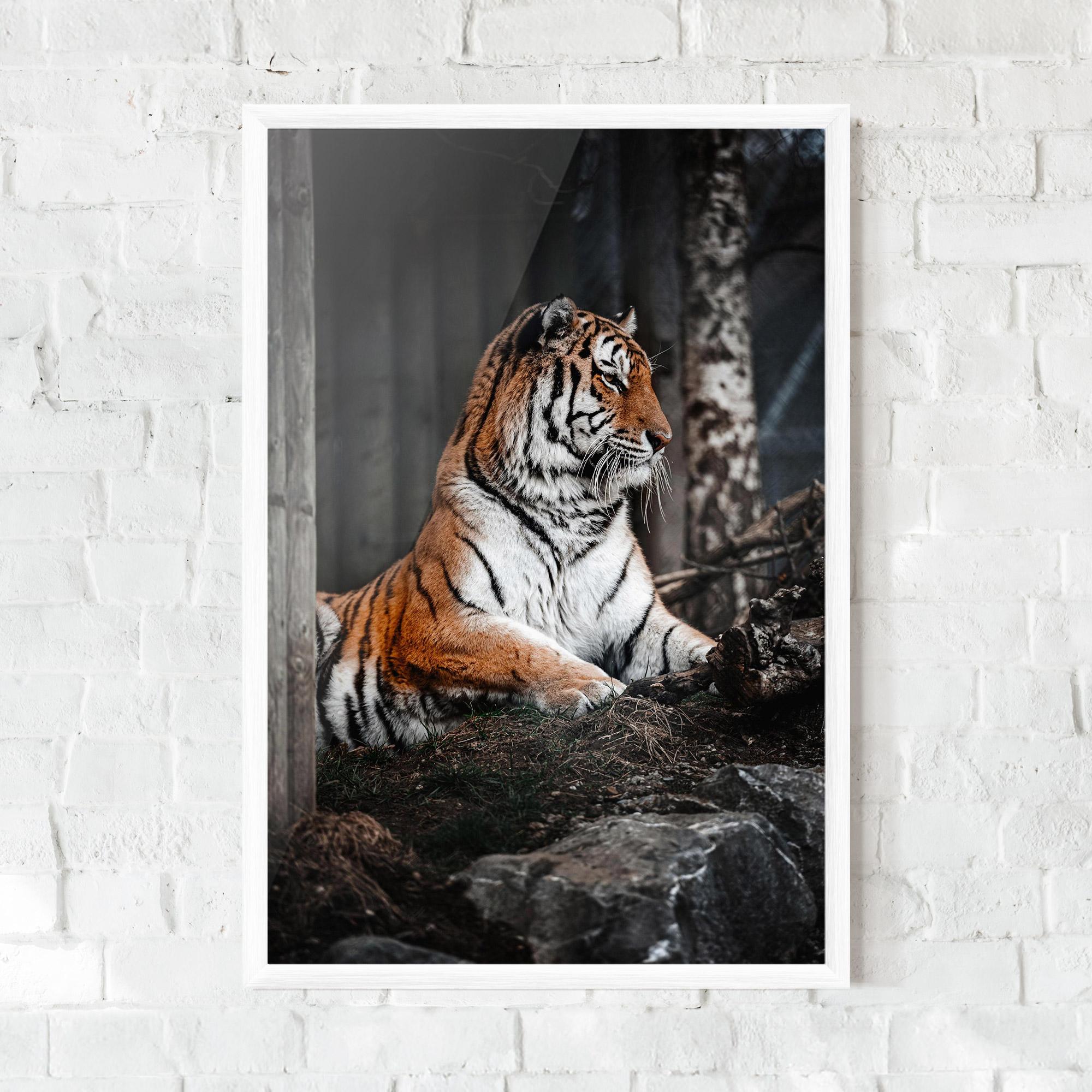 Poster Înrămat Forest Tiger mockup 0
