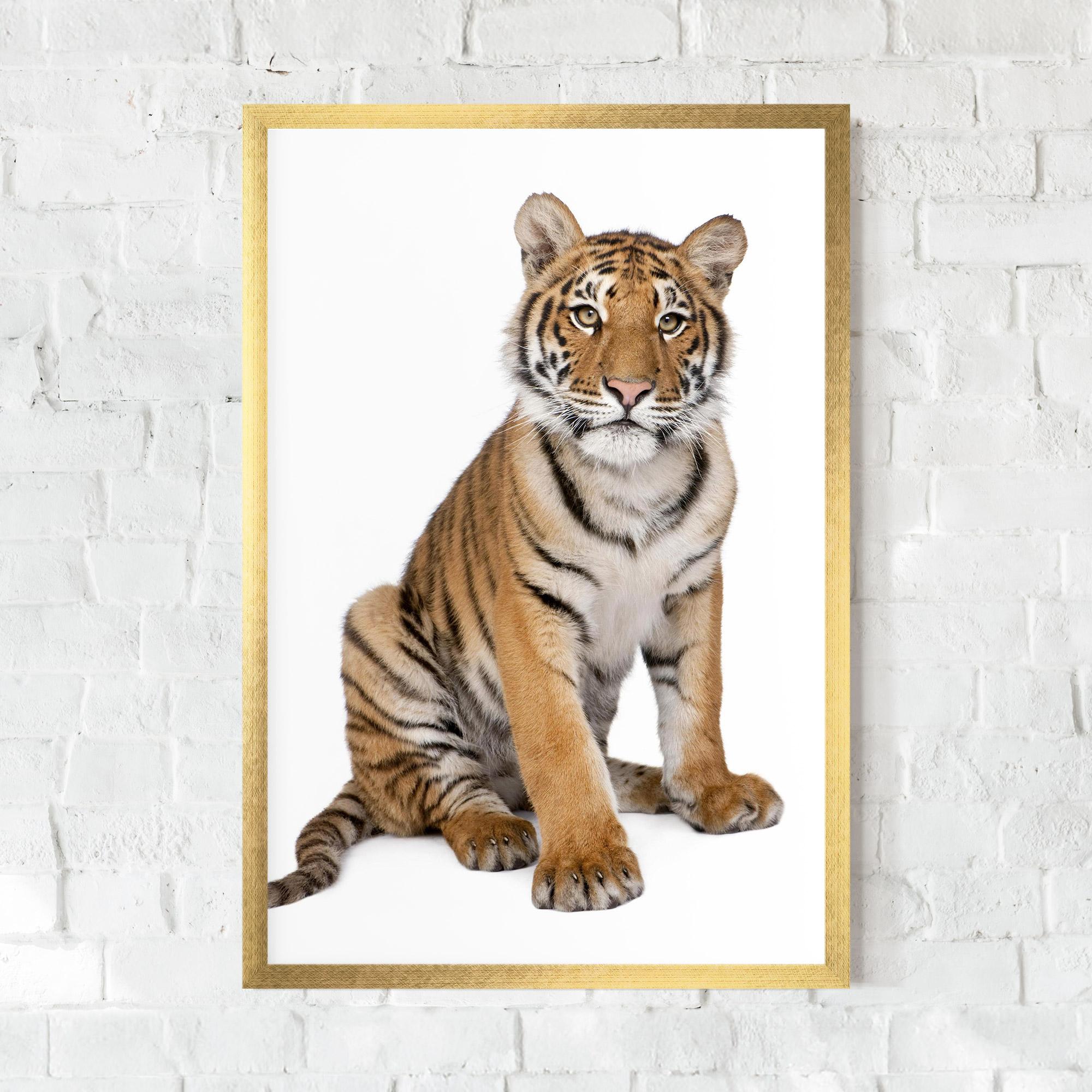 Poster Înrămat Baby Tiger mockup 0