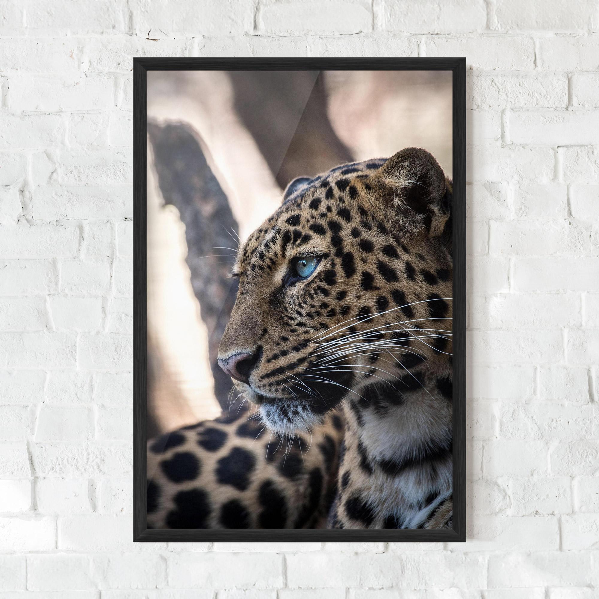 Poster Înrămat Blue Tiger mockup 0