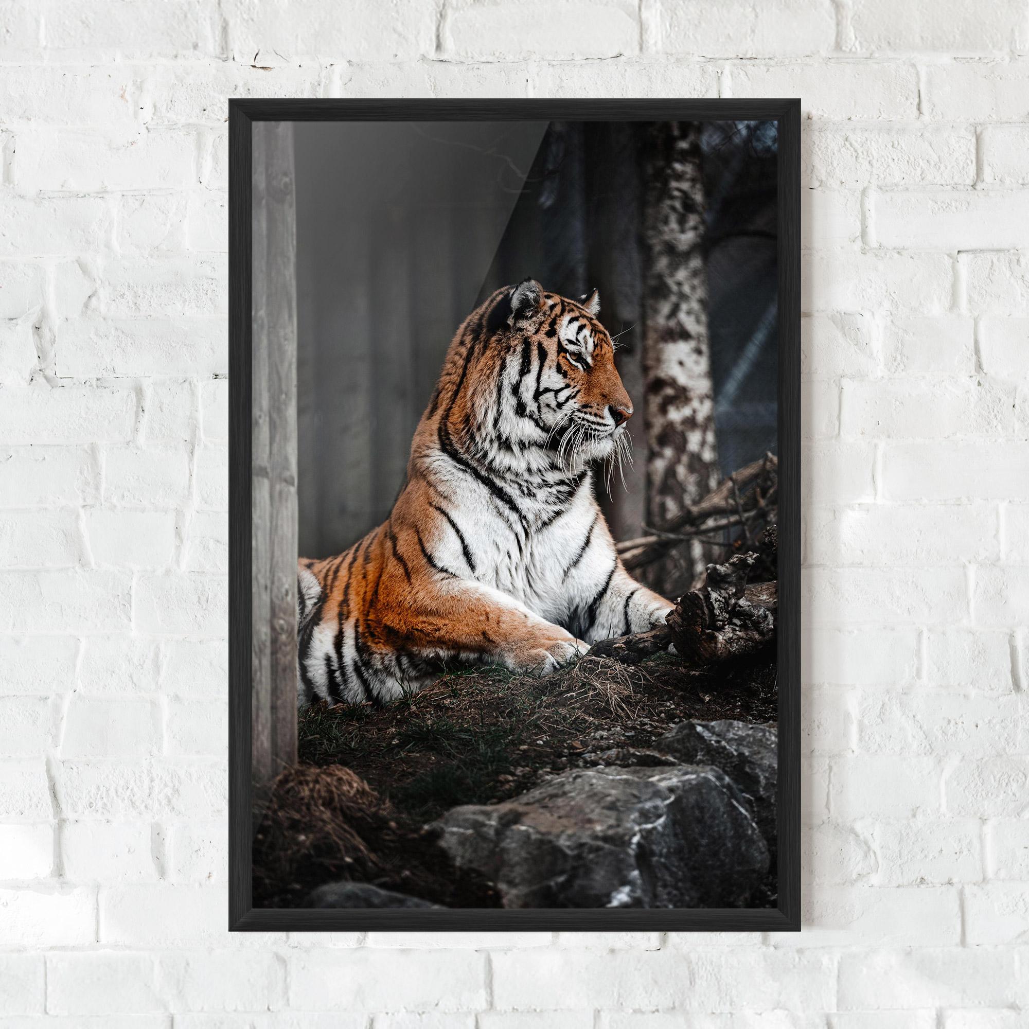 Poster Înrămat Forest Tiger mockup 0