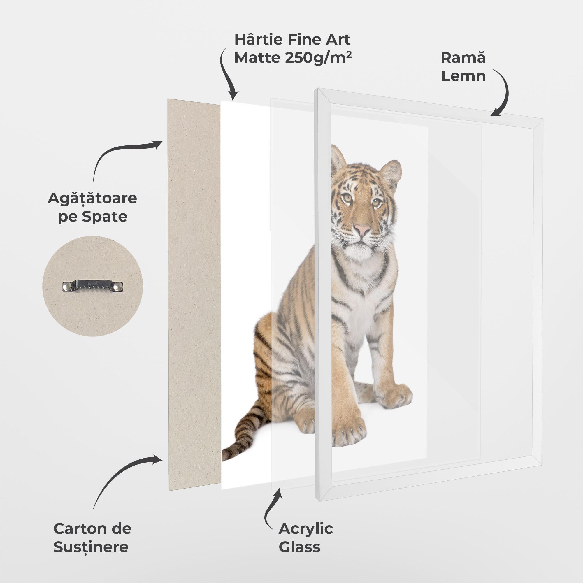 Poster Înrămat Baby Tiger mockup 1