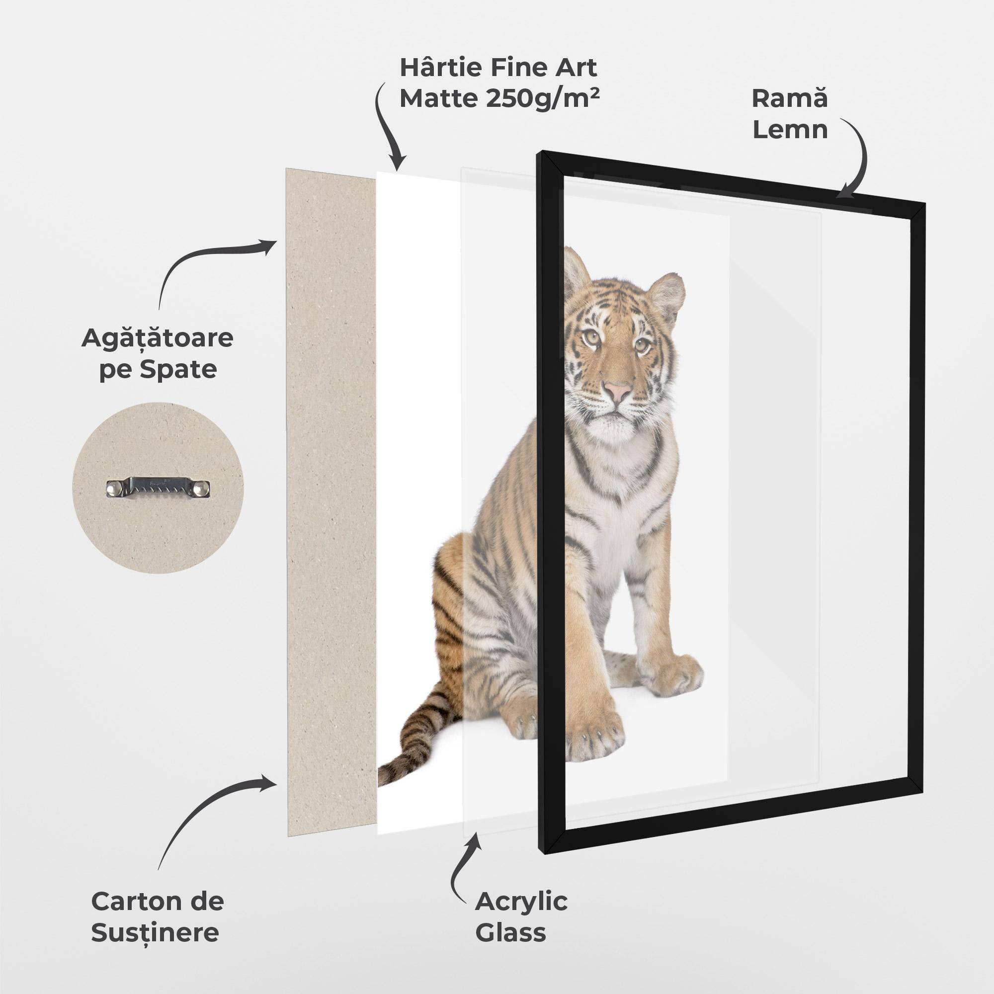 Poster Înrămat Baby Tiger mockup 1
