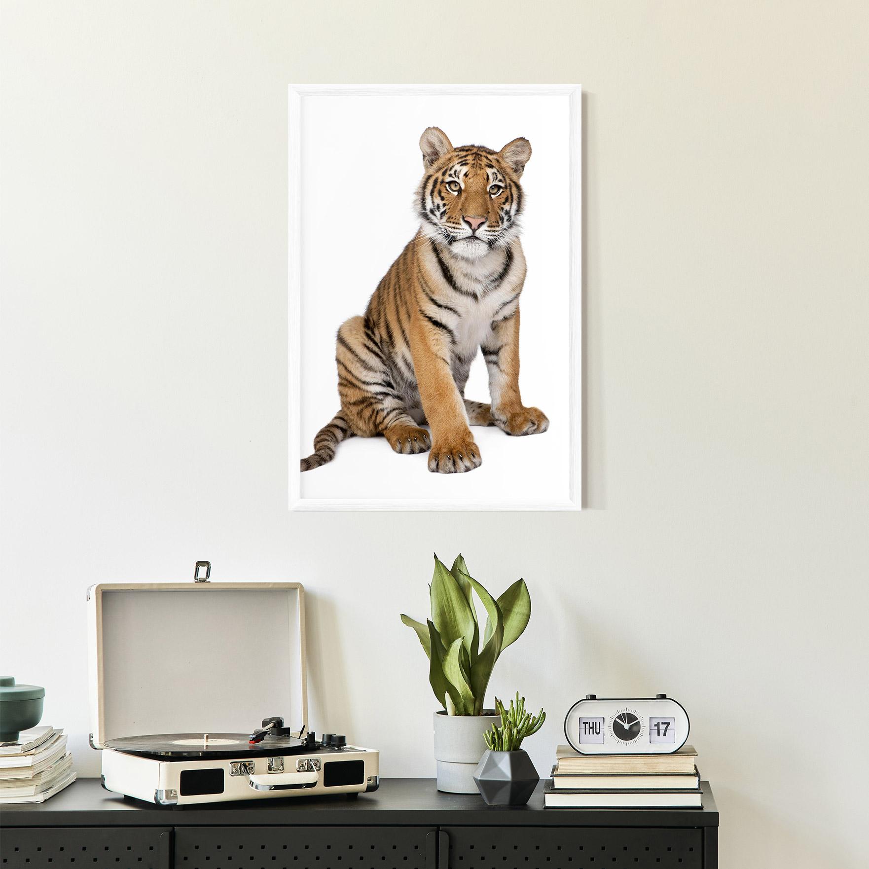 Poster Înrămat Baby Tiger mockup 2