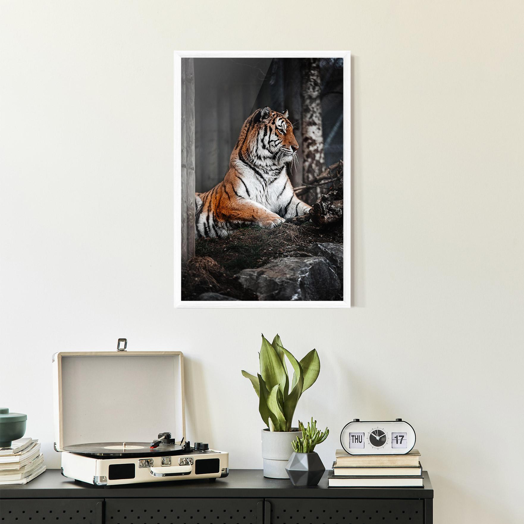 Poster Înrămat Forest Tiger mockup 2