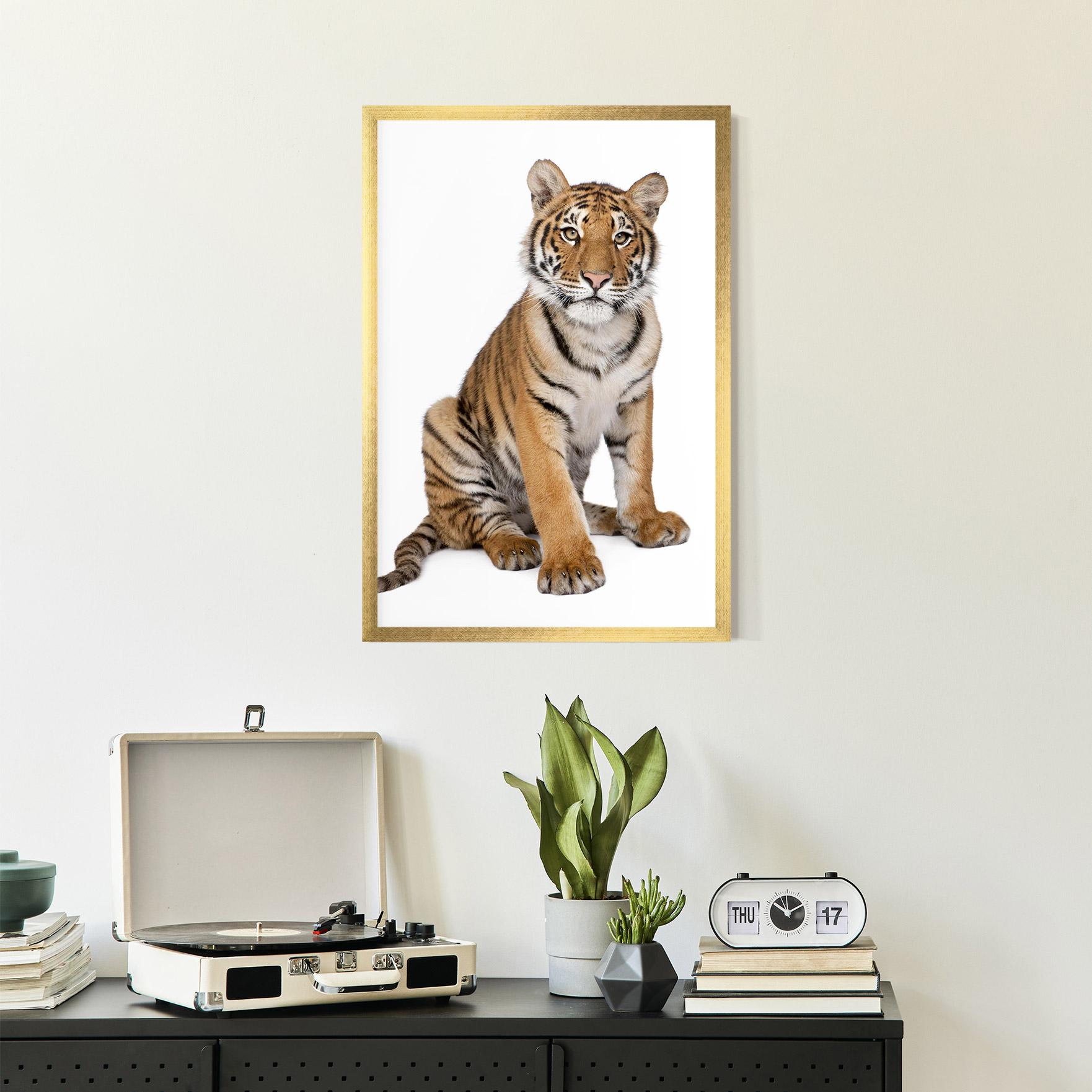 Poster Înrămat Baby Tiger mockup 2