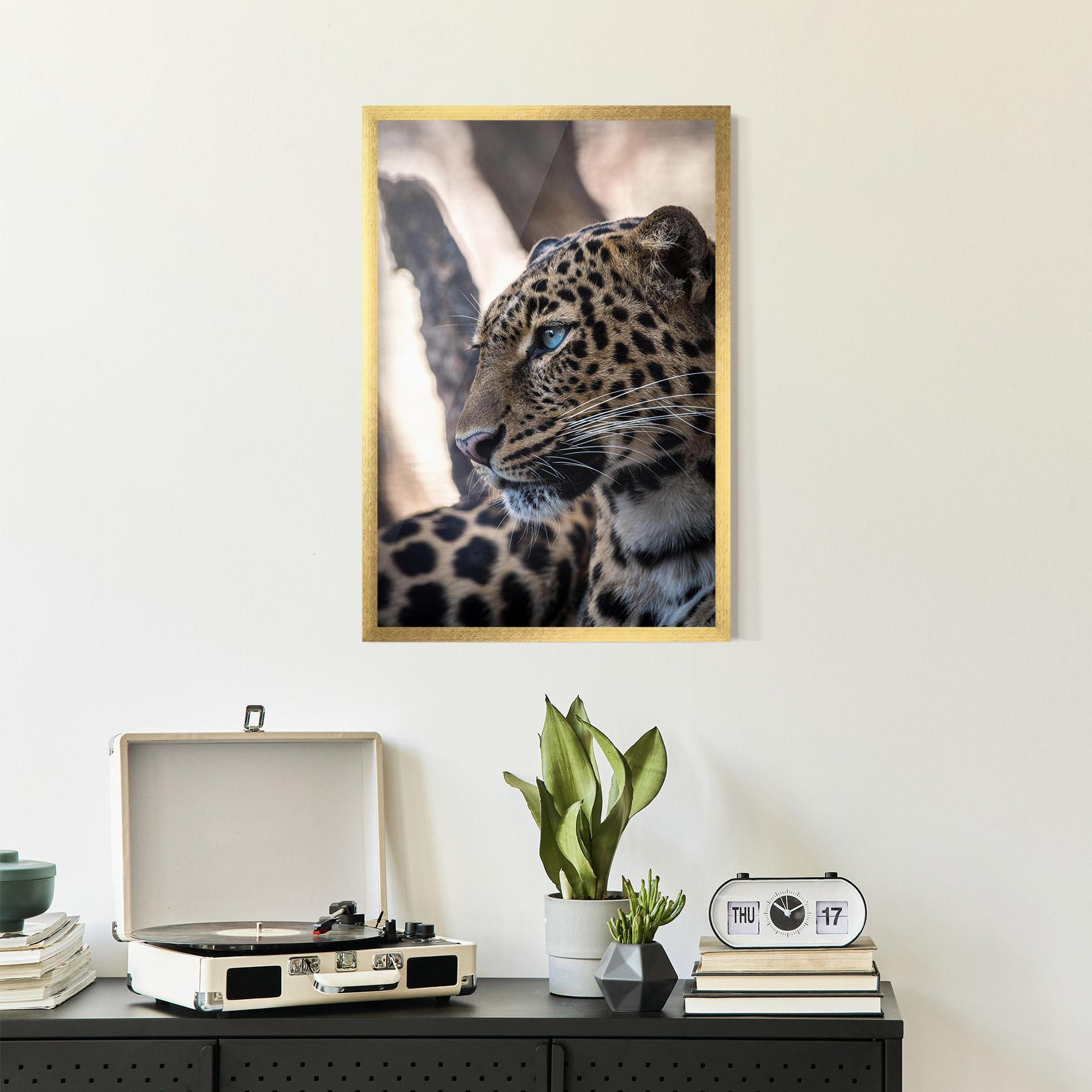 Poster Înrămat Blue Tiger mockup 2