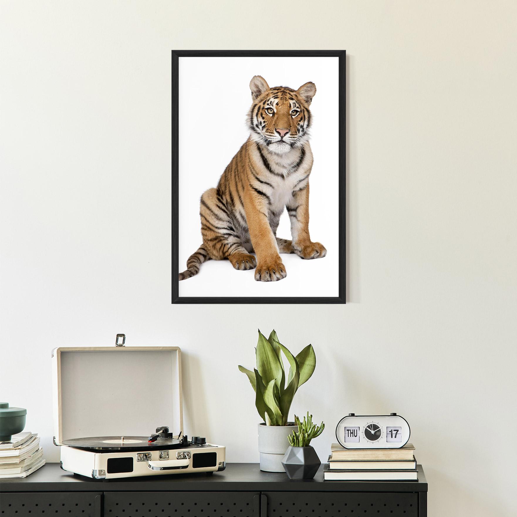 Poster Înrămat Baby Tiger mockup 2