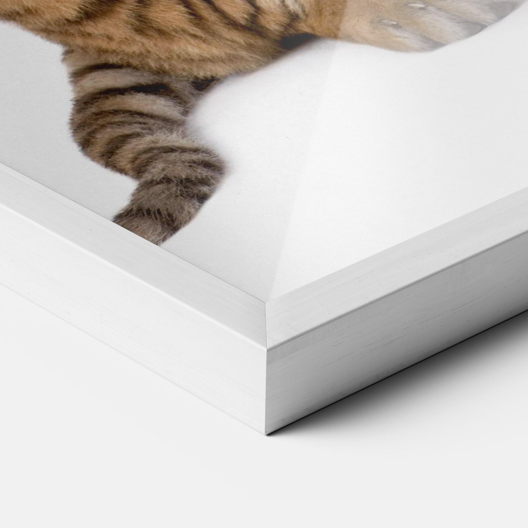 Poster Înrămat Baby Tiger mockup 3