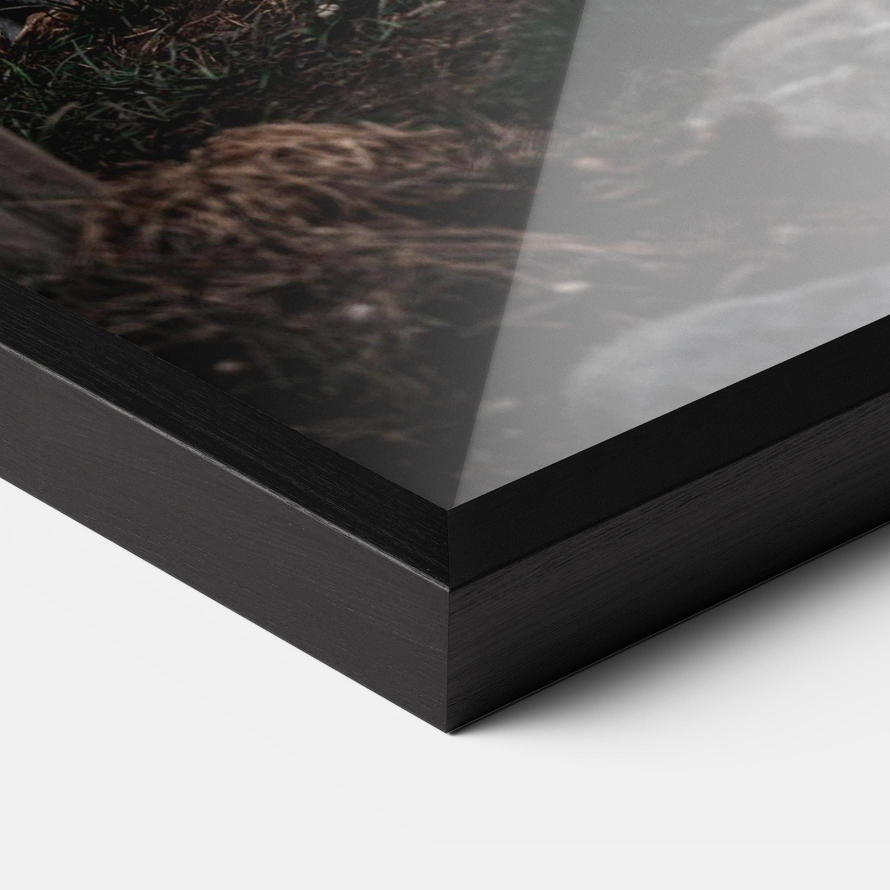 Poster Înrămat Forest Tiger mockup 3