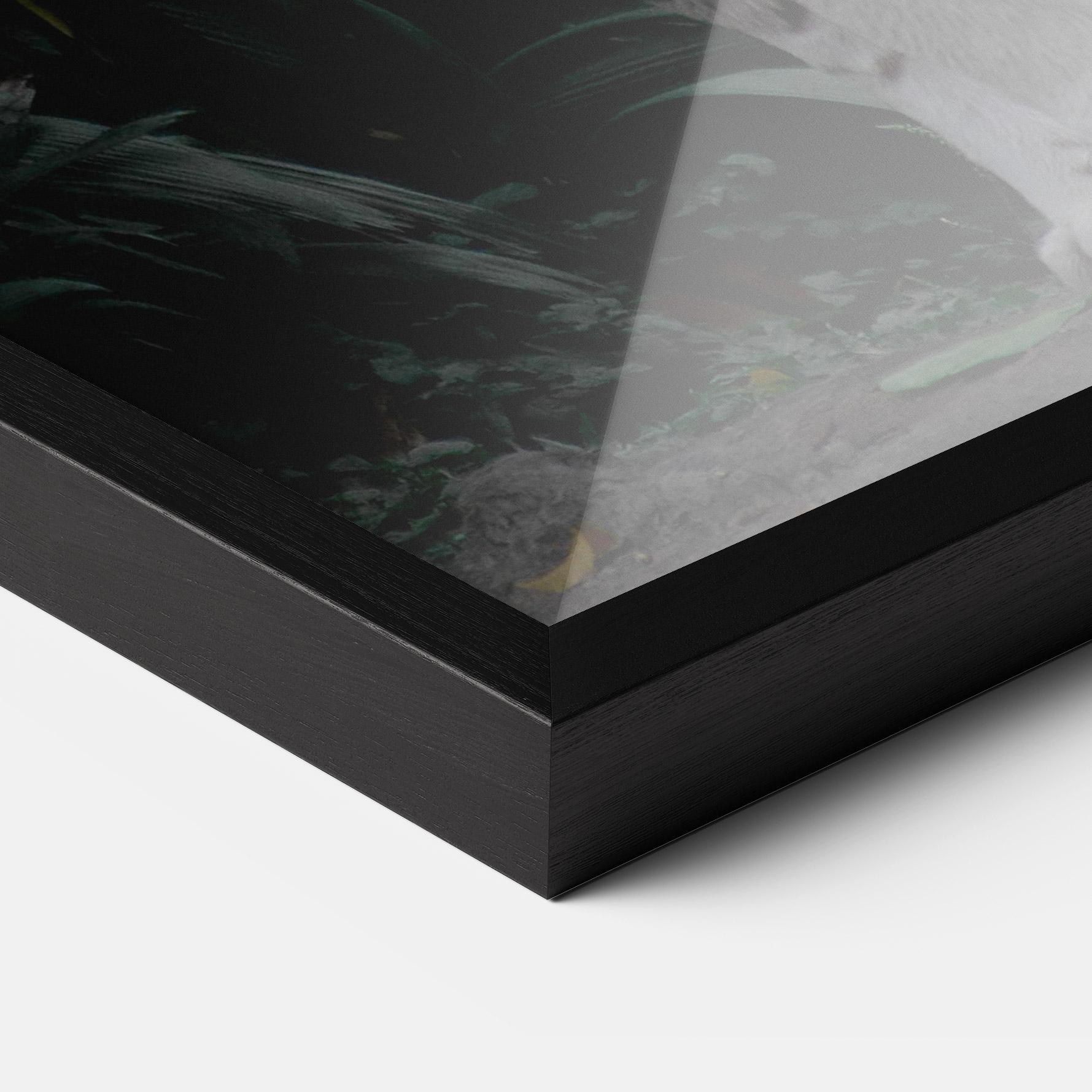 Poster Înrămat White Tiger mockup 3