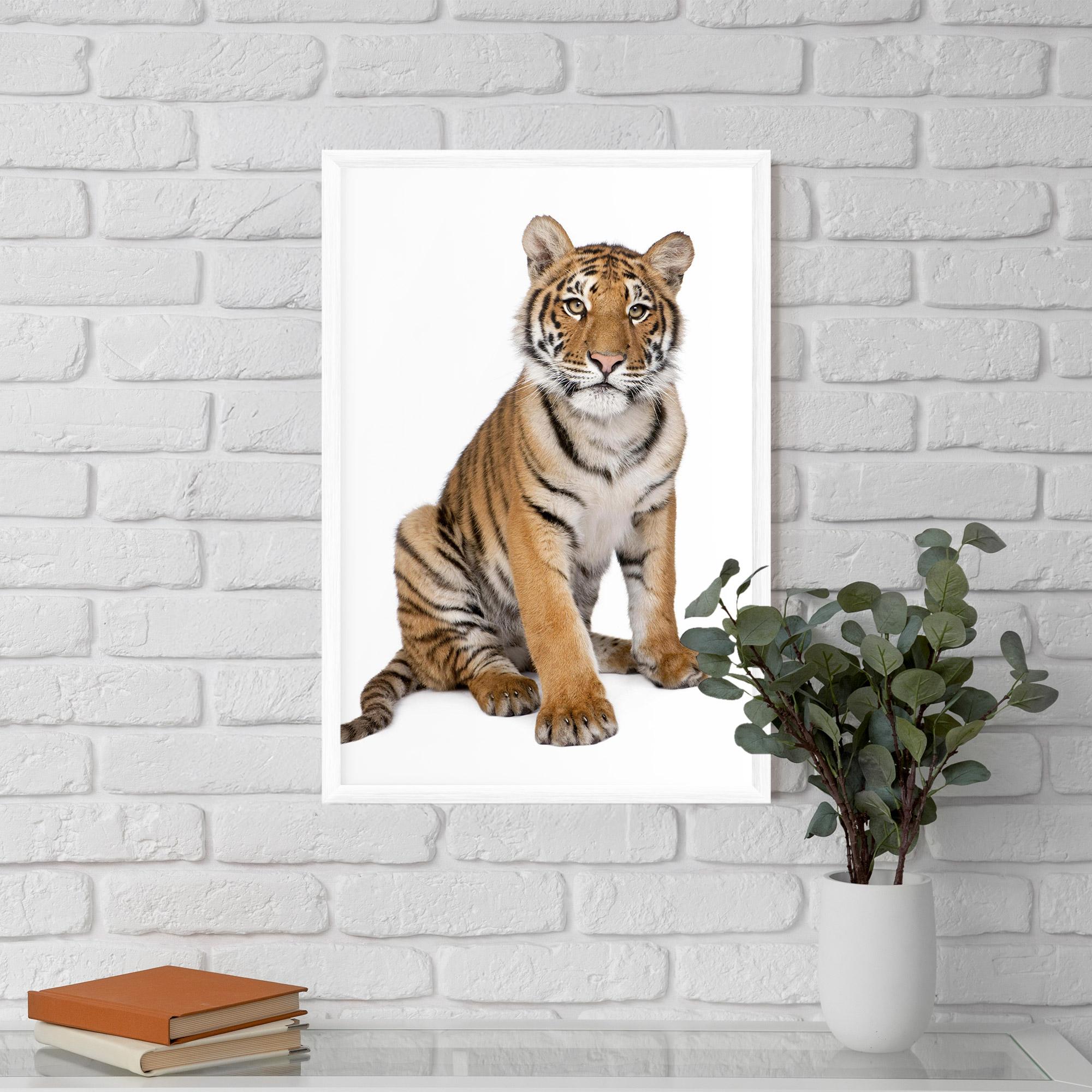 Poster Înrămat Baby Tiger mockup 5