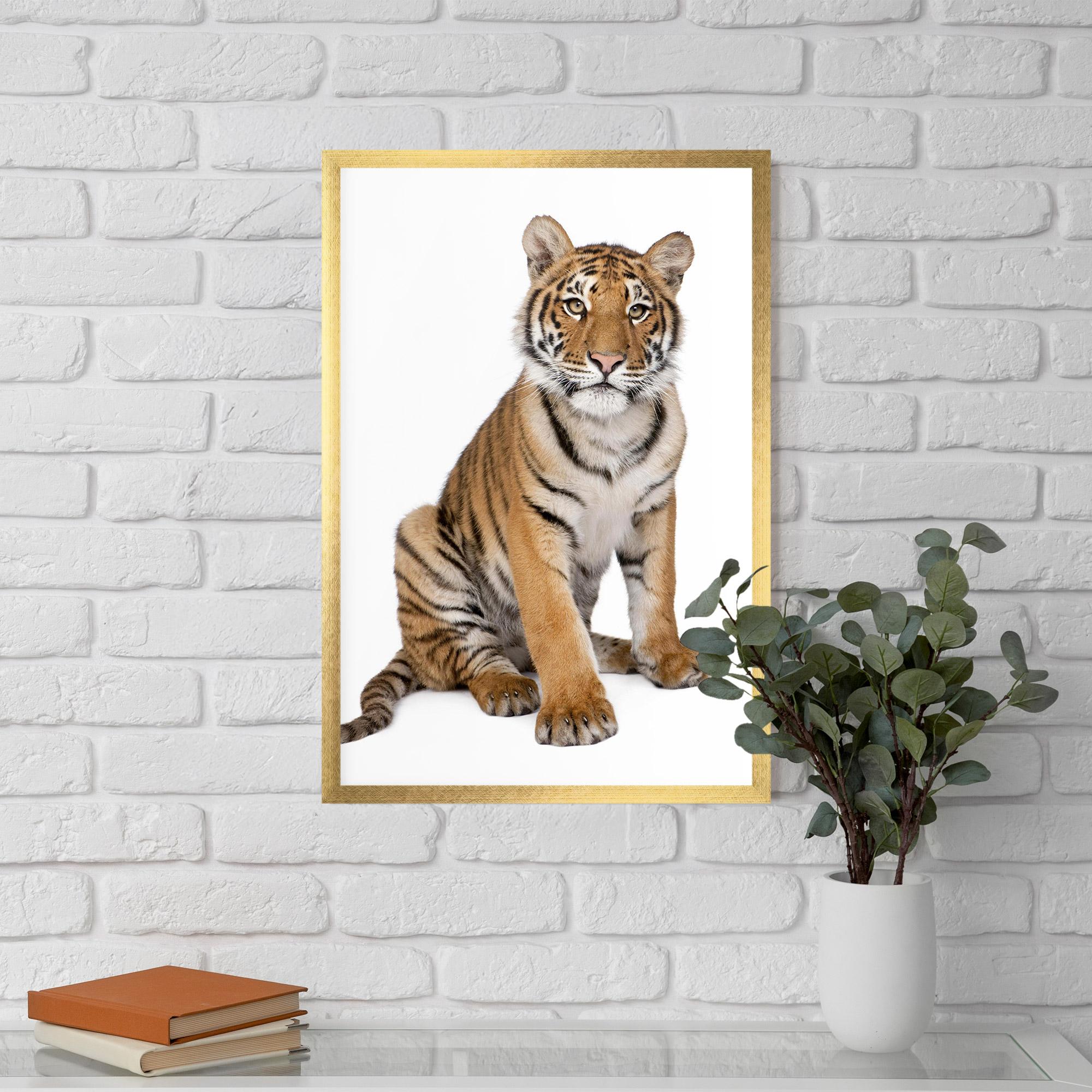 Poster Înrămat Baby Tiger mockup 5