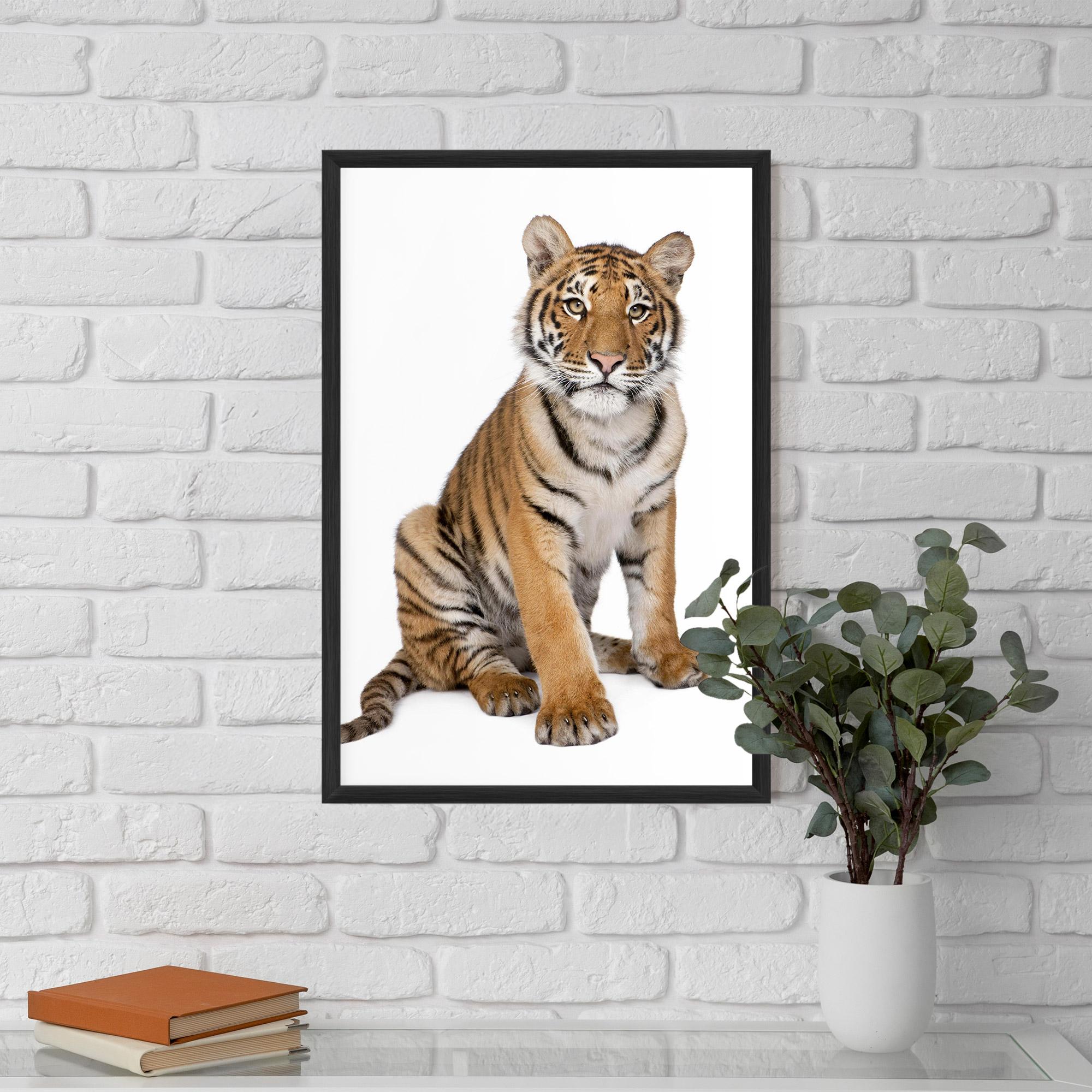Poster Înrămat Baby Tiger mockup 5