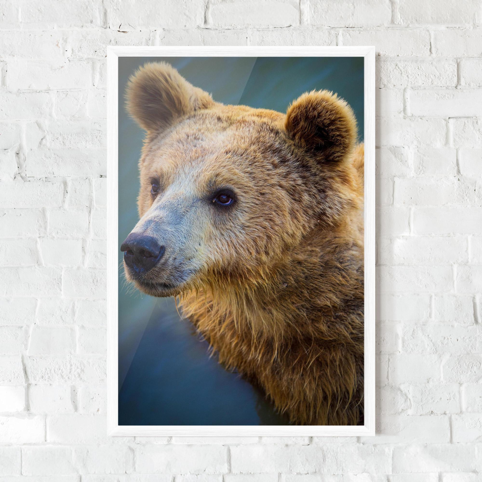 Poster Înrămat Bear Head mockup 0