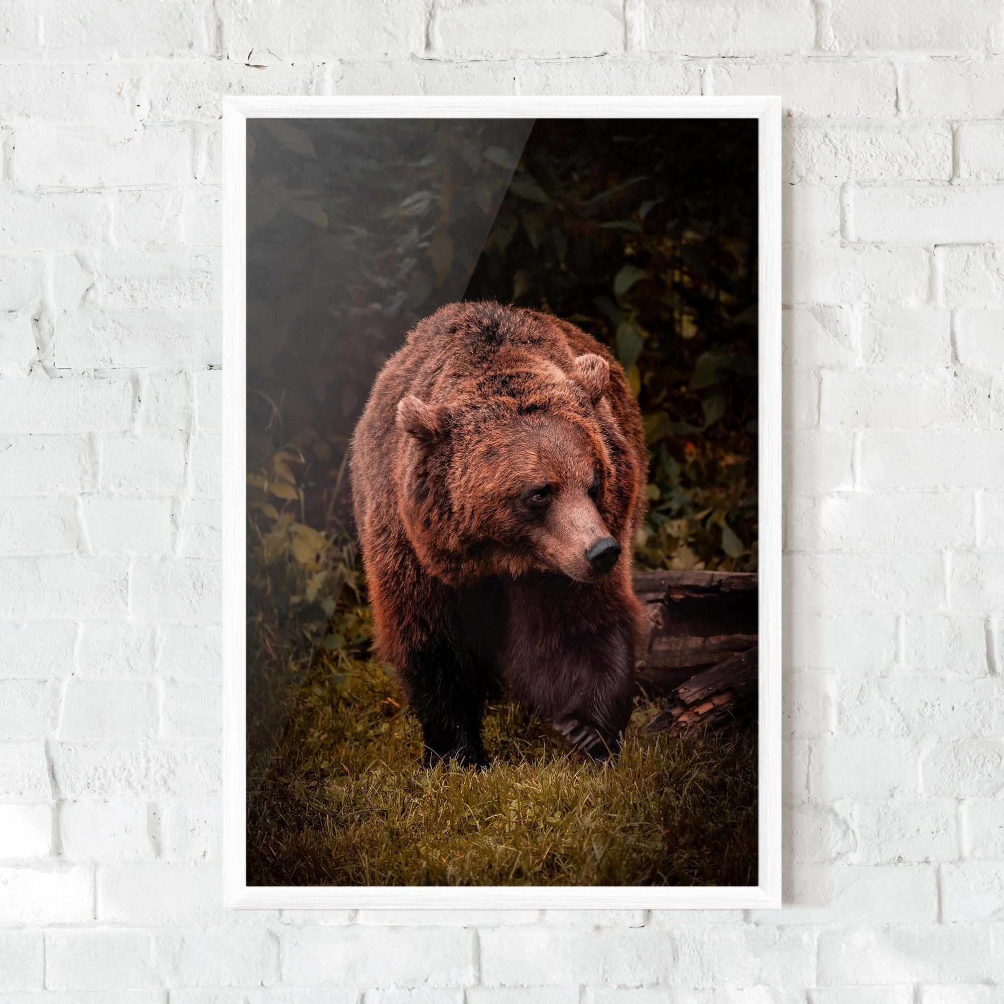 Poster Înrămat Brown Bear mockup 0