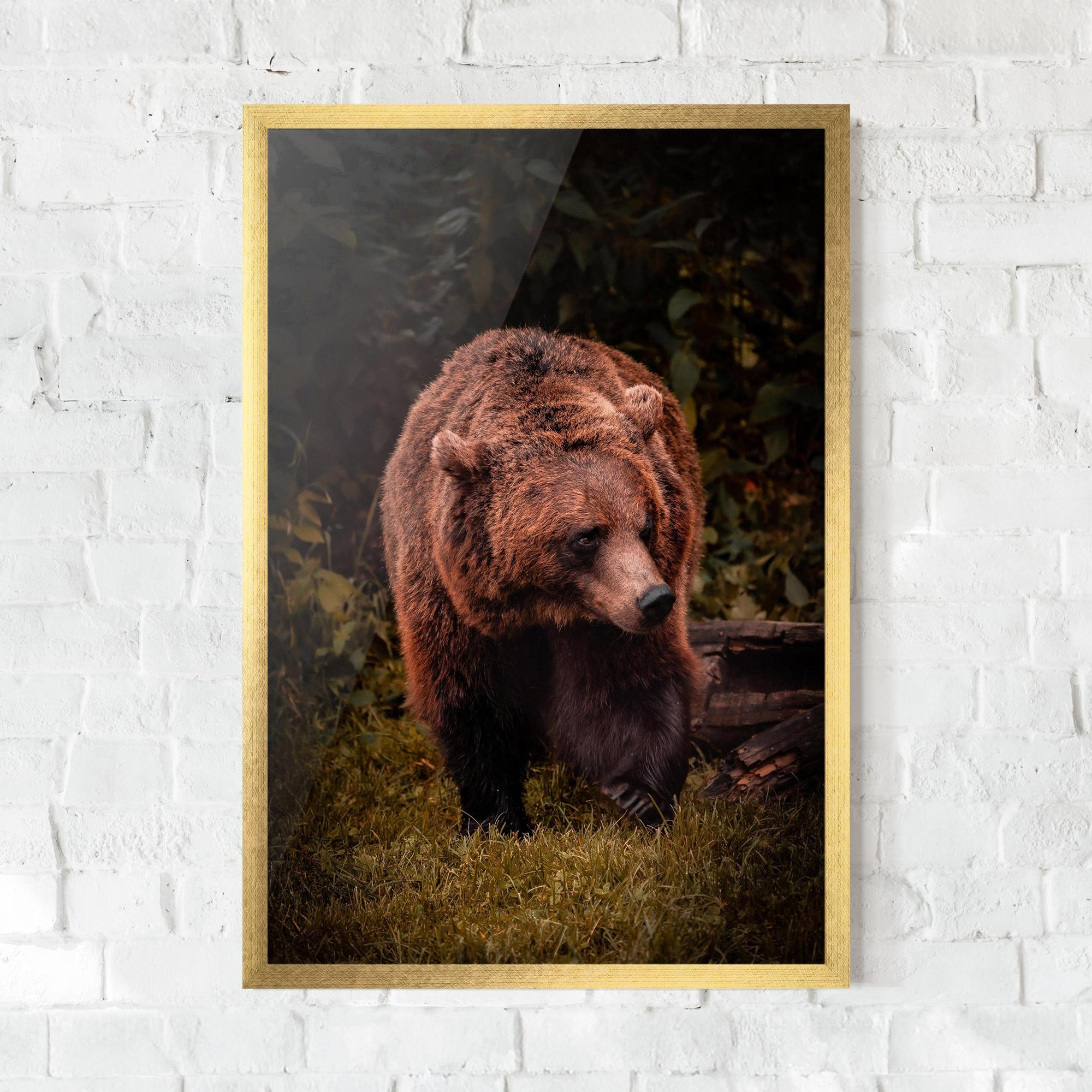 Poster Înrămat Brown Bear mockup 0