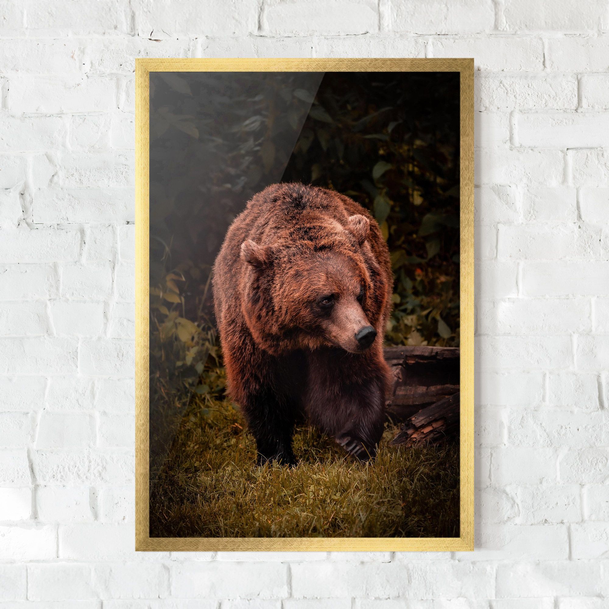 Brown Bear mockup 0