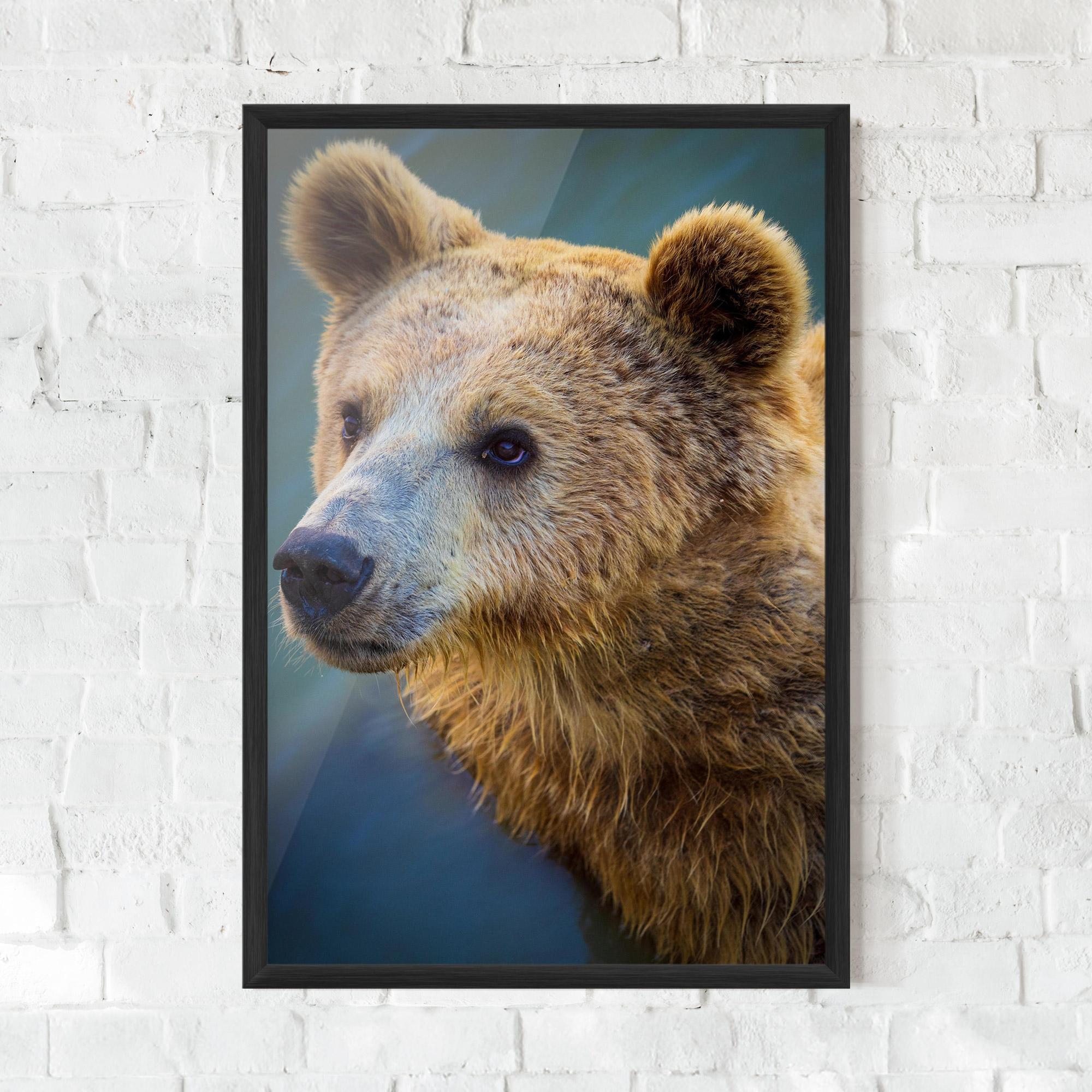 Poster Înrămat Bear Head mockup 0