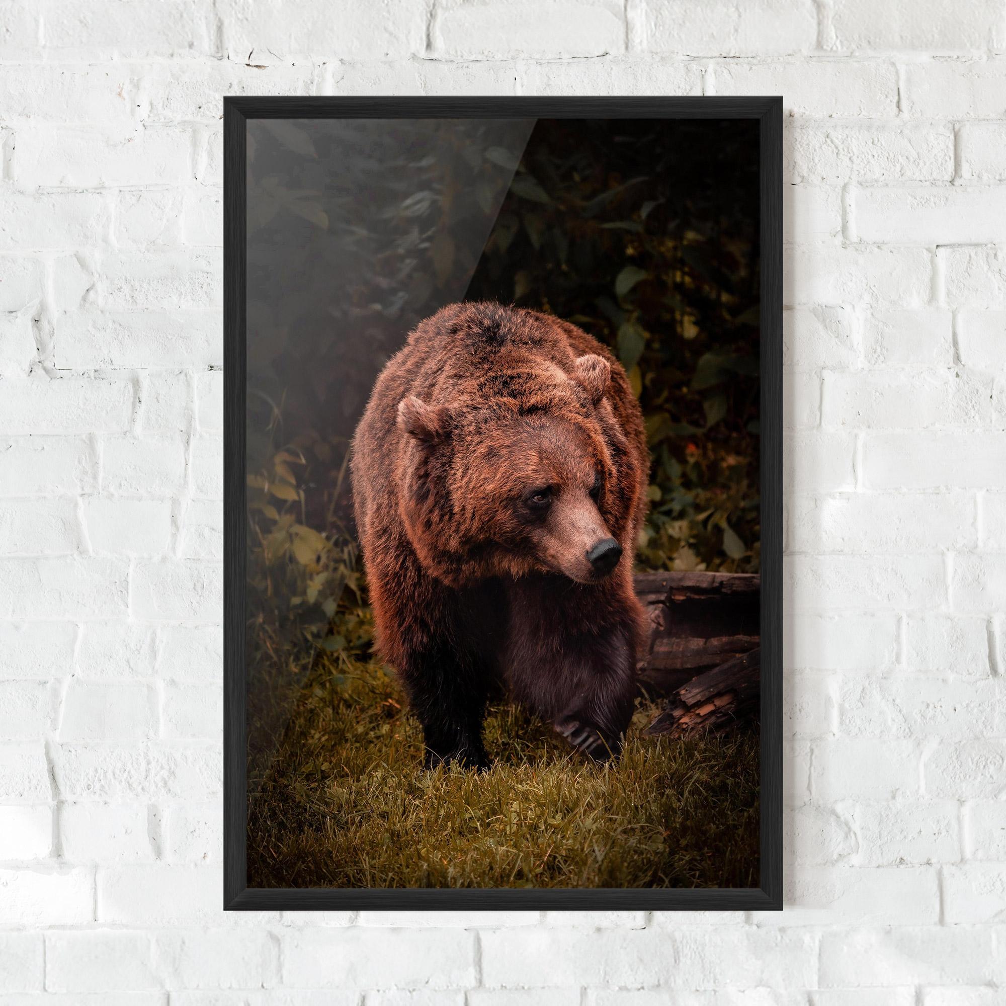 Poster Înrămat Brown Bear mockup 0
