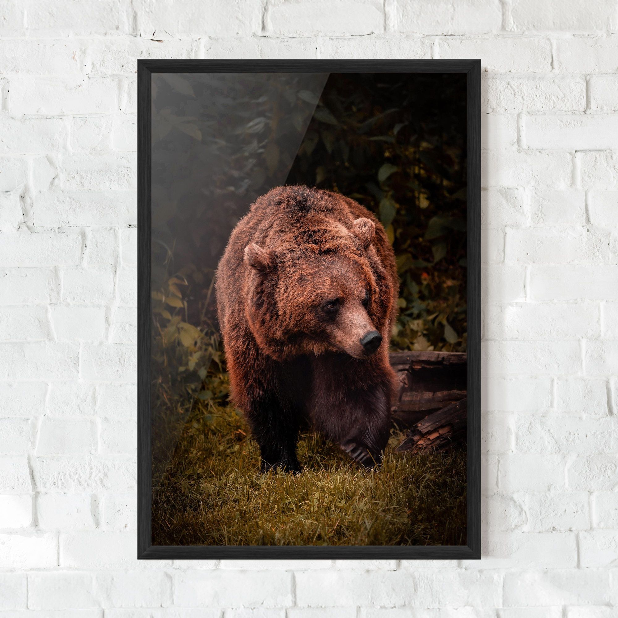 Brown Bear mockup 0