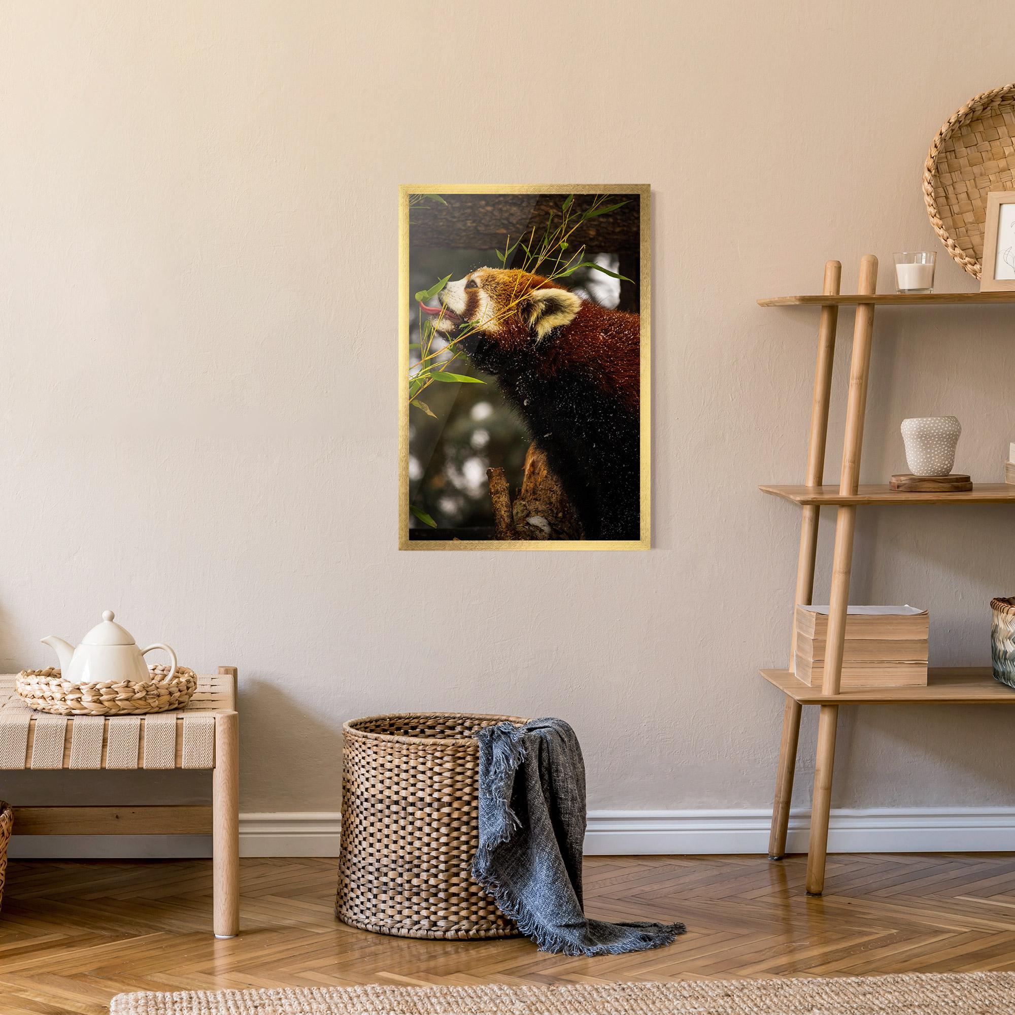 Poster Înrămat Red Panda mockup 9