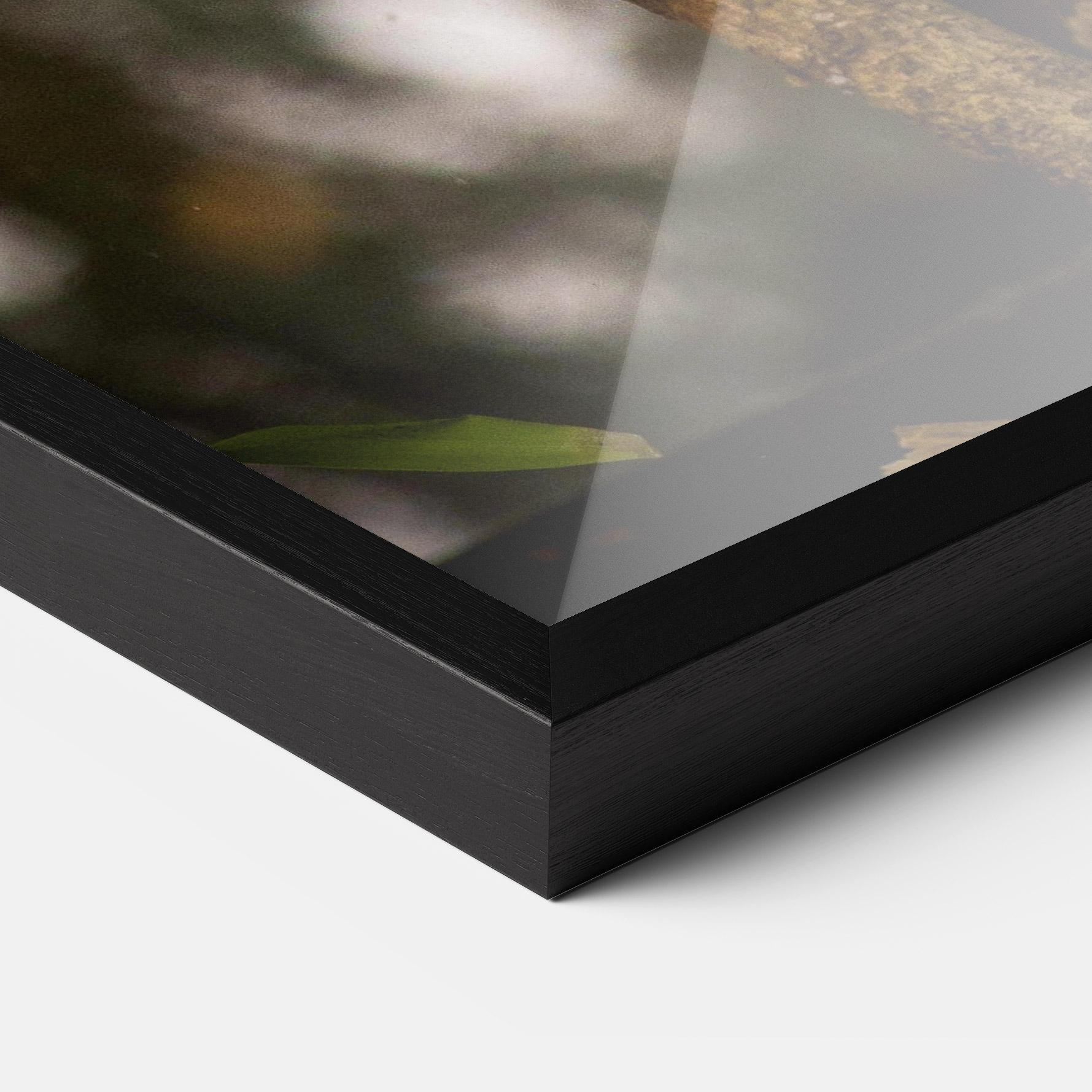 Poster Înrămat Red Panda mockup 3