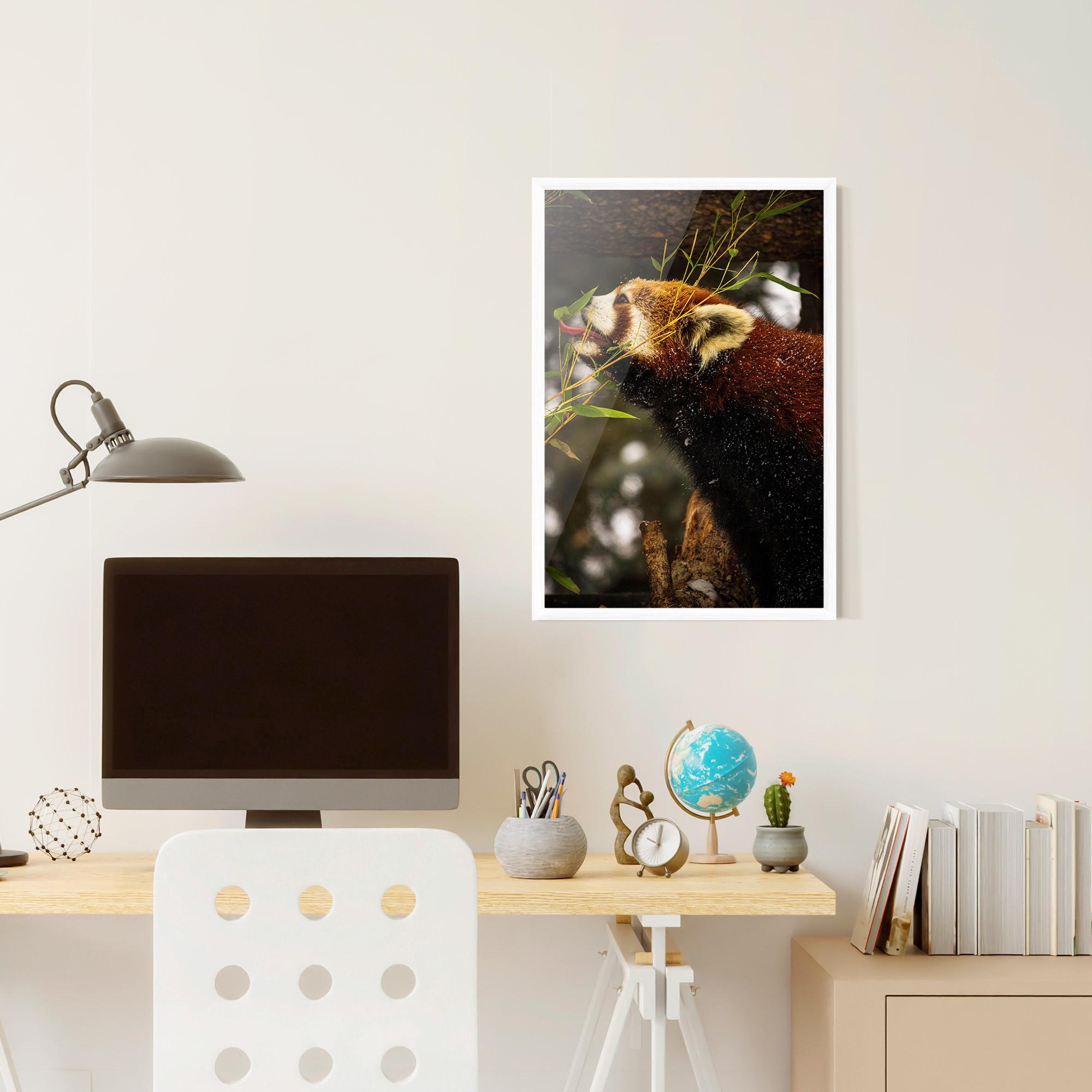 Poster Înrămat Red Panda mockup 6